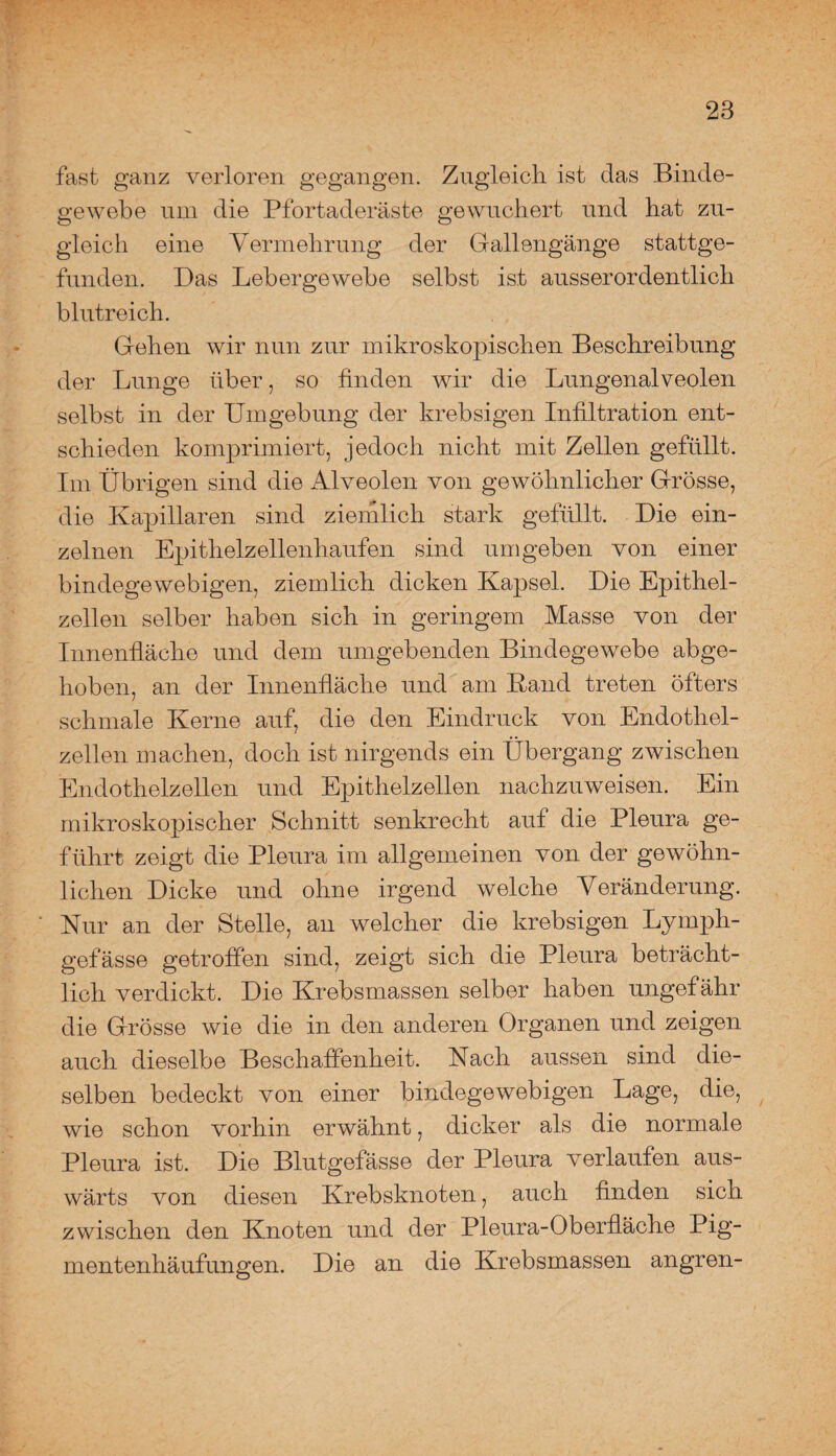 fast ganz verloren gegangen. Zugleich ist das Binde¬ gewebe um die Pfortaderäste gewuchert und hat zu¬ gleich eine Vermehrung der Gallengänge stattge¬ funden. Das Lebergewebe selbst ist ausserordentlich blutreich. Gehen wir nun zur mikroskopischen Beschreibung der Lunge über, so finden wir die Lungenalveolen selbst in der Umgebung der krebsigen Infiltration ent¬ schieden komprimiert, jedoch nicht mit Zellen gefüllt. Im Übrigen sind die Alveolen von gewöhnlicher Grösse, die Kapillaren sind ziemlich stark gefüllt. Die ein¬ zelnen Epithelzellenhaufen sind umgeben von einer bindegewebigen, ziemlich dicken Kapsel. Die Epithel¬ zellen selber haben sich in geringem Masse von der Innenfläche und dem umgebenden Bindegewebe abge¬ hoben, an der Innenfläche und am Rand treten öfters schmale Kerne auf, die den Eindruck von Endothel¬ zellen machen, doch ist nirgends ein Übergang zwischen Endothelzellen und Epithelzellen nachzuweisen. Ein mikroskopischer Schnitt senkrecht auf die Pleura ge¬ führt zeigt die Pleura im allgemeinen von der gewöhn¬ lichen Dicke und ohne irgend welche Veränderung. Kur an der Stelle, an welcher die krebsigen Lymph- gefässe getroffen sind, zeigt sich die Pleura beträcht¬ lich verdickt. Die Krebsmassen selber haben ungefähr die Grösse wie die in den anderen Organen und zeigen auch dieselbe Beschaffenheit. Nach aussen sind die¬ selben bedeckt von einer bindegewebigen Lage, die, wie schon vorhin erwähnt, dicker als die normale Pleura ist. Die Blutgefässe der Pleura verlaufen aus¬ wärts von diesen Krebsknoten, auch finden sich zwischen den Knoten und der Pleura-Oberfläche Pig- mentenhäufungen. Die an die Krebsmassen angren-