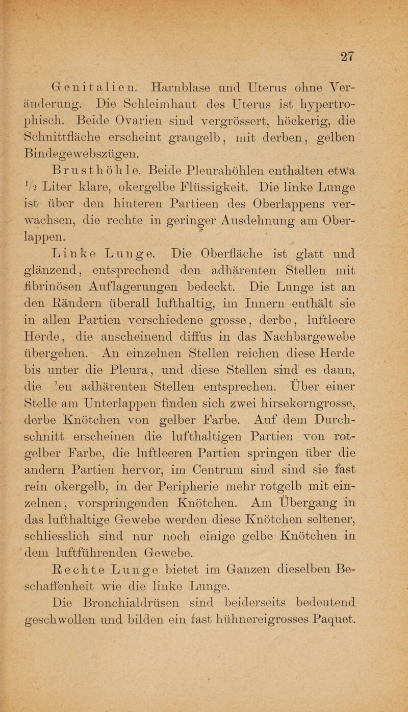 Genitalien. Harnblase und Uterus ohne Ver¬ änderung. Die Schleimhaut des Uterus ist hypertro¬ phisch. Beide Ovarien sind vergrössert, höckerig, die Schnittfläche erscheint graugelb, mit derben, gelben Bindege webszügen. Brusthöhle. Beide Pleurahöhlen enthalten etwa 7*2 Liter klare, okergelbe Flüssigkeit. Die linke Lunge ist über den hinteren Partieen des Oberlappens ver¬ wachsen, die rechte in geringer Ausdehnung am Ober¬ lappen. Linke Lunge. Die Oberfläche ist glatt und glänzend, entsprechend den adhärenten Stellen mit fibrinösen Auflagerungen bedeckt. Die Lunge ist an den Bändern überall lufthaltig, im Innern enthält sie in allen Partien verschiedene grosse, derbe, luftleere Herde, die anscheinend diffus in das Nachbargewebe übergehen. An einzelnen Stellen reichen diese Herde bis unter die Pleura, und diese Stellen sind es dann, die 'en adhärenten Stellen entsprechen. Uber einer Stelle am Unterlappen finden sich zwei hirsekorngrosse, derbe Knötchen von gelber Farbe. Auf dem Durch¬ schnitt erscheinen die lufthaltigen Partien von rot- gelber Farbe, die luftleeren Partien springen über die andern Partien hervor, im Centrum sind sind sie fast rein okergelb, in der Peripherie mehr rotgelb mit ein¬ zelnen, vorspringenden Knötchen. Am Übergang in das lufthaltige Gewebe werden diese Knötchen seltener, schliesslich sind nur noch einige gelbe Knötchen in dem luftführenden Gewebe. Bechte Lunge bietet im Ganzen dieselben Be¬ schaffenheit wie die linke Lunge. Die Bronchialdrüsen sind beiderseits bedeutend geschwollen und bilden ein fast hühnereigrosses Paquet.