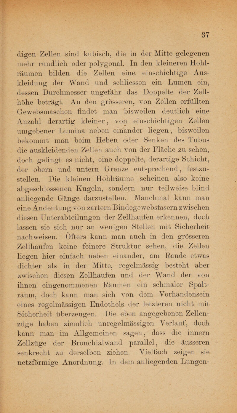 digen Zellen sind kubisch, die in der Mitte gelegenen mehr rundlich oder polygonal. In den kleineren Hohl- räumen bilden die Zellen eine einschichtige Aus¬ kleidung der Wand und schliessen ein Lumen ein, dessen Durchmesser ungefähr das Doppelte der Zell¬ höhe beträgt. An den grösseren, von Zellen erfüllten Gewebsmaschen findet man bisweilen deutlich eine Anzahl derartig kleiner, von einschichtigen Zellen umgebener Lumina neben einander liegen, bisweilen bekommt man beim Heben oder Senken des Tubus die auskleidenden Zellen auch von der Fläche zu sehen, doch gelingt es nicht, eine doppelte, derartige Schicht, der obern und untern Grenze entsprechend, festzu¬ stellen. Die kleinen Hohlräume scheinen also keine abgeschlossenen Kugeln, sondern nur teilweise blind anliegende Gänge darzustellen. Manchmal kann man eine Andeutung von zartem Bindegewebsfasern zwischen diesen Unterabteilungen der Zellhaufen erkennen, doch lassen sie sich nur an wenigen Stellen mit Sicherheit nachweisen. Öfters kann man auch in den grösseren Zellhaufen keine feinere Struktur sehen, die Zellen liegen hier einfach neben einander, am Rande etwas dichter als in der Mitte, regelmässig besteht aber zwischen diesen Zellhaufen und der Wand der von ihnen eingenommenen Räumen ein schmaler Spalt¬ raum, doch kann man sich von dem Vorhandensein eines regelmässigen Endothels der letzteren nicht mit Sicherheit überzeugen. Die eben angegebenen Zellen¬ züge haben ziemlich unregelmässigen Verlauf, doch kann man im Allgemeinen sagen, dass die innern Zellzüge der Bronchialwand parallel, die äusseren senkrecht zu derselben ziehen. Vielfach zeigen sie netzförmige Anordnung. In dem anliegenden Lungen-