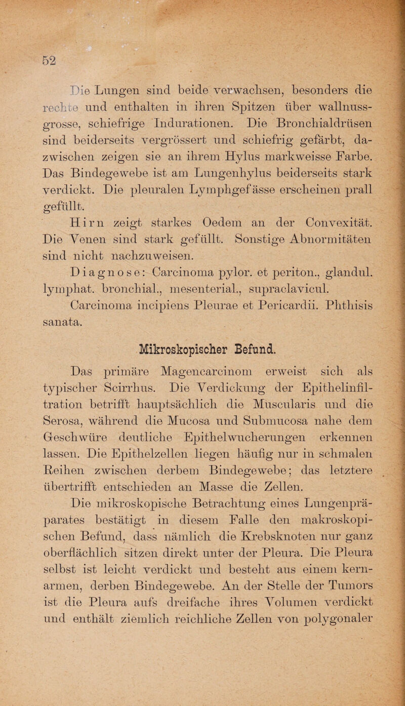 Die Lungen sind beide verwachsen, besonders die rechte und enthalten in ihren Spitzen über wallnuss¬ grosse, schiefrige Indurationen. Die Bronchialdrüsen sind beiderseits vergrössert und schiefrig gefärbt, da¬ zwischen zeigen sie an ihrem Hylus markweisse Farbe. Das Bindegewebe ist am Lungenhylus beiderseits stark verdickt. Die pleuralen Lymphgef ässo erscheinen prall gefüllt. Hirn zeigt starkes Oedem an der Convexität. Die Venen sind stark gefüllt. Sonstige Abnormitäten sind nicht nachzuweisen. Diagnose: Carcinoma pylor. et periton., glandul. lymphat. bronchial., mesenterial., supraclavicul. Carcinoma incipiens Pleurae et Pericardii. Phthisis sanata. Mikroskopischer Befund. Das primäre Magencarcinom erweist sich als typischer Scirrhus. Die Verdickung der Epithelinfil¬ tration betrifft hauptsächlich die Muscularis und die Serosa, während die Mucosa und Submucosa nahe dem Geschwüre deutliche Epithelwucherungen erkennen lassen. Die Epithelzellen liegen häufig nur in schmalen Beihen zwischen derbem Bindegewebe; das letztere übertrifft entschieden an Masse die Zellen. Die mikroskopische Betrachtung eines Lungenprä¬ parates bestätigt in diesem Falle den makroskopi¬ schen Befund, dass nämlich die Krebsknoten nur ganz oberflächlich sitzen direkt unter der Pleura. Die Pleura selbst ist leicht verdickt und besteht aus einem kern¬ armen, derben Bindegewebe. An der Stelle der Tumors ist die Pleura aufs dreifache ihres Volumen verdickt und enthält ziemlich reichliche Zellen von polygonaler