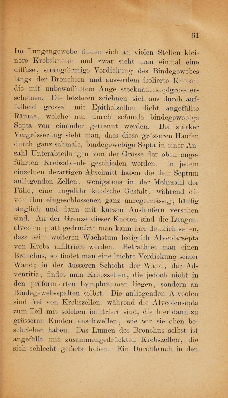 Im Lungengewebe finden sich an vielen Stellen klei¬ nere Krebsknoten und zwar sieht man einmal eine diffuse, strangförmige Verdickung des Bindegewebes längs der Bronchien und ausserdem isolierte Knoten, die mit unbewaffnetem Auge stecknadelkopfgross er¬ scheinen. Die letzteren zeichnen sich aus durch auf¬ fallend grosse, mit Epithelzellen dicht angefüllte Bäume, welche nur durch schmale bindegewebige Septa von einander getrennt werden. Bei starker Vergrösserung sieht man, dass diese grösseren Haufen durch ganz schmale, bindegewebige Septa in einer An¬ zahl Unterabteilungen von der Grösse der oben ange¬ führten Krebsalveole geschieden werden. In jedem einzelnen derartigen Abschnitt haben die dem Septum anliegenden Zellen, wenigstens in der Mehrzahl der Fälle, eine ungefähr kubische Gestalt, während die von ihm eingeschlossenen ganz unregelmässig, häufig länglich und dann mit kurzen Ausläufern versehen sind. An der Grenze dieser Knoten sind die Lungen¬ alveolen platt gedrückt; man kann hier deutlich sehen, dass beim weiteren Wachstum lediglich Alveolarsepta von Krebs infiltriert werden. Betrachtet man einen Bronchus, so findet man eine leichte Verdickung seiner Wand; in der äusseren Schicht der Wand, der Ad- ventitia, findet man Krebszellen, die jedoch nicht in den präforrnierten Lymphräumen liegen, sondern an Bindegewebsspalten selbst. Die anliegenden Alveolen sind frei von Krebszellen, während die Alveolensepta zum Teil mit solchen infiltriert sind, die hier dann zu grösseren Knoten anschwellen, wie wir sie oben be¬ schrieben haben. Das Lumen des Bronchus selbst ist angefüllt mit zusammengedrückten Krebszellen, die sich schlecht gefärbt haben. Ein Durchbruch in den