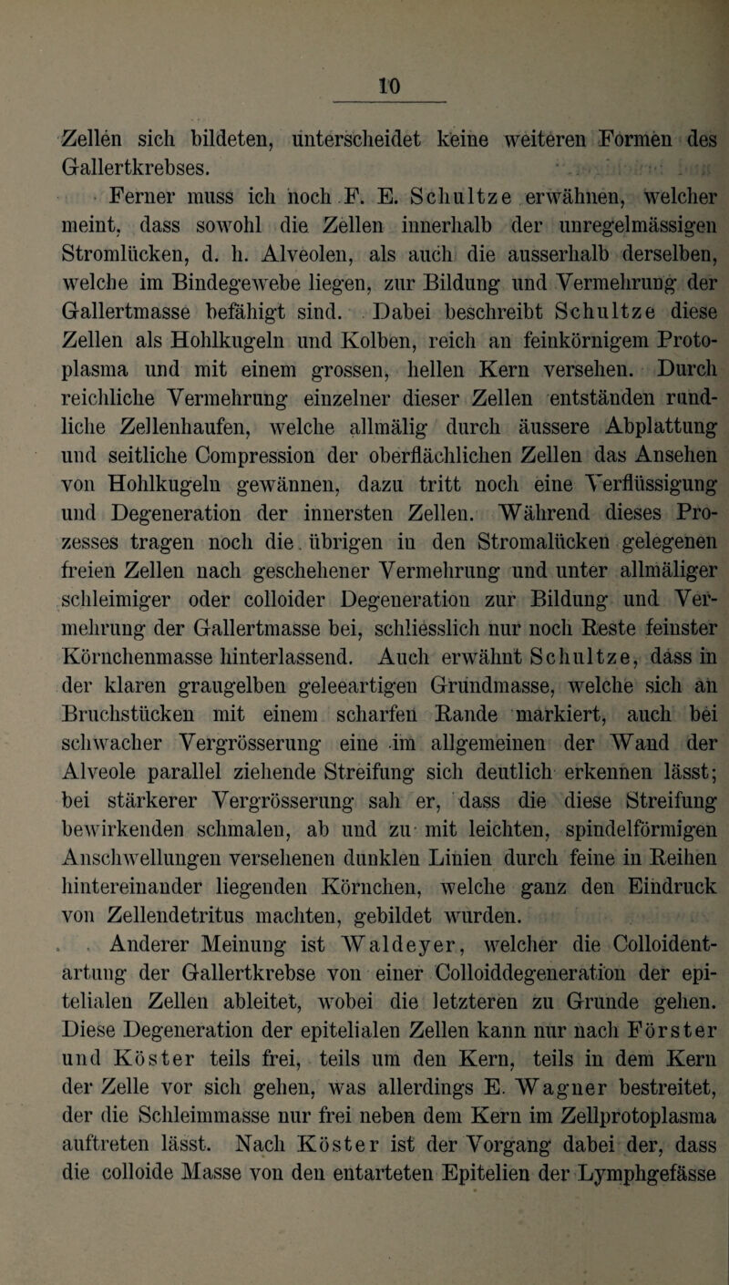 Zellen sich bildeten, unterscheidet keine weiteren Formen des Gallertkrebses. _ Ferner muss ich noch F. E. Schultze erwähnen, welcher meint, dass sowohl die Zellen innerhalb der unregelmässigen Stromlücken, d. h. Alveolen, als auch die ausserhalb derselben, welche im Bindegewebe liegen, zur Bildung und Vermehrung der Gallertmasse befähigt sind. Dabei beschreibt Schultze diese Zellen als Hohlkugeln und Kolben, reich an feinkörnigem Proto¬ plasma und mit einem grossen, hellen Kern versehen. Durch reichliche Vermehrung einzelner dieser Zellen entständen rund¬ liche Zellenhaufen, welche allmälig durch äussere Abplattung und seitliche Compression der oberflächlichen Zellen das Ansehen von Hohlkugeln gewännen, dazu tritt noch eine Verflüssigung und Degeneration der innersten Zellen. Während dieses Pro¬ zesses tragen noch die. übrigen in den Stromalücken gelegenen freien Zellen nach geschehener Vermehrung und unter allmäliger schleimiger oder colloider Degeneration zur Bildung und Ver¬ mehrung der Gallertmasse bei, schliesslich nur noch Reste feinster Körnchenmasse hinterlassend. Auch erwähnt Schultze, dass in der klaren graugelben geleeartigen Grundmasse, welche sich an Bruchstücken mit einem scharfen Rande markiert, auch bei schwacher Vergrösserung eine im allgemeinen der Wand der Alveole parallel ziehende Streifung sich deutlich erkennen lässt; bei stärkerer Vergrösserung sah er, dass die diese Streifung bewirkenden schmalen, ab und zu mit leichten, spindelförmigen Anschwellungen versehenen dunklen Linien durch feine in Reihen hintereinander liegenden Körnchen, welche ganz den Eindruck von Zellendetritus machten, gebildet wurden. Anderer Meinung ist Waldeyer, welcher die Colloident- artung der Gallertkrebse von einer Colloiddegeneration der epi- telialen Zellen ableitet, wobei die letzteren zu Grunde gehen. Diese Degeneration der epitelialen Zellen kann nur nach Förster und Köster teils frei, teils um den Kern, teils in dem Kern der Zelle vor sich gehen, was allerdings E. Wagner bestreitet, der die Schleimmasse nur frei neben dem Kern im Zellprotoplasma auftreten lässt. Nach Köster ist der Vorgang dabei der, dass die colloide Masse von den entarteten Epitelien der Lymphgefässe