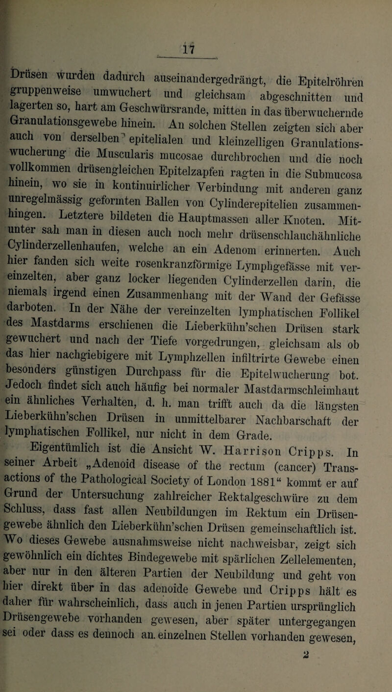 Drusen wurden dadurch auseinandergedrängt, die Epitelröhren gruppenweise umwuchert und gleichsam abgeschnitten und lagerten so, hart am Geschwürsrande, mitten in das überwuchernde Granulationsgewebe hinein. An solchen Stellen zeigten sich aber auch von derselben ' epitelialen und kleinzelligen Granulations¬ wucherung die Muscularis mucosae durchbrochen und die noch vollkommen drüsengleichen Epitelzapfen ragten in die Submucosa hinein, wo sie in kontinuirlicher Verbindung mit anderen ganz von Cylinderepitelien zusammen- hingen. Letztere bildeten die Hauptmassen aller Knoten. Mit¬ unter sah man in diesen auch noch mehr drüsenschlauchähnliche Cylmderzellenhaufen, welche an ein Adenom erinnerten. Auch hier fanden sich weite rosenkranzförmige Lymphgefässe mit ver¬ einzelten, aber ganz locker liegenden Cylinderzellen darin, die niemals irgend einen Zusammenhang mit der Wand der Gefässe darboten. In der Nähe der vereinzelten lymphatischen Follikel des Mastdarms erschienen die Lieberkühn’schen Drüsen stark gewuchert und nach der Tiefe vorgedrungen, gleichsam als ob das hier nachgiebigere mit Lymphzellen infiltrirte Gewebe einen besonders günstigen Durchpass für die Epitelwucherung bot. Jedoch findet sich auch häufig bei normaler Mastdarmschleimhaut ein ähnliches Verhalten, d. li. man trifft auch da die längsten Lieberkühn sehen Drüsen in unmittelbarer Nachbarschaft der lymphatischen Follikel, nur nicht in dem Grade. Eigentümlich ist die Ansicht W. Harrison Cripps. In seiner Arbeit „Adenoid disease of the rectum (cancer) Trans¬ actions of the Pathological Society of London 1881“ kommt er auf Grund der Untersuchung zahlreicher Kektalgeschwüre zu dem Schluss, dass fast allen Neubildungen im Kektum ein Drüsen¬ gewebe ähnlich den Lieberkühn’schen Drüsen gemeinschaftlich ist. Wo dieses Gewebe ausnahmsweise nicht nachweisbar, zeigt sich gewöhnlich ein dichtes Bindegewebe mit spärlichen Zellelementen, aber nur in den älteren Partien der Neubildung und geht von hier direkt über in das adenoide Gewebe und Cripps hält es daher für wahrscheinlich, dass auch in jenen Partien ursprünglich Drüsengewebe vorhanden gewesen, aber später untergegangen sei odei dass es dennoch an. einzelnen Stellen vorhanden gewesen, 2