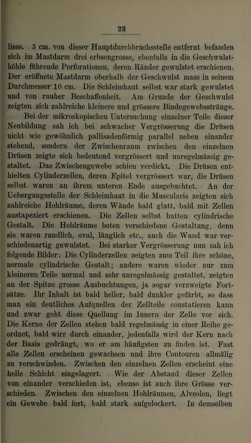 liess. 3 cm. von dieser Hauptdurclibruchsstelle entfernt befanden sich im Mastdarm drei erbsengrosse, ebenfalls in die Geschwulst¬ höhle führende Perforationen, deren Ränder gewulstet erschienen. Der eröffnete Mastdarm oberhalb der Geschwulst mass in seinem Durchmesser 10 cm. Die Schleimhaut selbst war stark gewulstet und von rauher Beschaffenheit, Am Grunde der Geschwulst zeigten sich zahlreiche kleinere und grössere Bindegewebsstränge. Bei der mikroskopischen Untersuchung einzelner Teile dieser Neubildung sah ich bei schwacher Vergrösserung die Drüsen nicht wie gewöhnlich pallisadenförmig parallel neben einander stehend, sondern der Zwischenraum zwischen den einzelnen Drüsen zeigte sich bedeutend vergrössert und unregelmässig ge¬ staltet. Das Zwischengewebe schien verdickt. Die Drüsen ent¬ hielten Cylinderzellen, deren Epitel vergrössert war, die Drüsen selbst waren an ihrem unteren Ende ausgebuchtet. An der. Uebergangsstelle der Schleimhaut in die Muscularis zeigten sich zahlreiche Hohlräume, deren Wände bald glatt, bald mit Zellen austapeziert erschienen. Die Zellen selbst hatten cylindrische Gestalt. Die Hohlräume boten verschiedene Gestaltung, denn sie waren rundlich, oval, länglich etc., auch die Wand war ver¬ schiedenartig gewulstet. Bei starker Vergrösserung nun sah ich folgende Bilder: Die Cylinderzellen zeigten zum Teil ihre schöne, normale cylindrische Gestalt; andere waren wieder nur zum kleineren Teile normal und sehr uuregelnmssig gestaltet, zeigten an der Spitze grosse Ausbuchtungen, ja sogar verzweigte Fort¬ sätze. Ihr Inhalt ist bald heller, bald dunkler gefärbt, so dass man ein deutliches Aufquellen der Zellteile constatieren kann und zwar geht diese Quellung im Innern der Zelle vor sich. Die Kerne der Zellen stehen bald regelmässig in einer Reihe ge¬ ordnet, bald wirr durch einander, jedenfalls wird der Kern nach der Basis gedrängt, wo er am häufigsten zu finden ist. Fast alle Zellen erscheinen gewachsen und ihre Contouren allmälig zu verschwinden. Zwischen den einzelnen Zellen erscheint eine helle Schicht eingelagert. Wie der Abstand dieser Zellen von einander verschieden ist, ebenso ist auch ihre Grösse ver¬ schieden. Zwischen den einzelnen Hohlräumen, Alveolen, liegt ein Gewebe bald fest, bald stark aufgelockert. In demselben