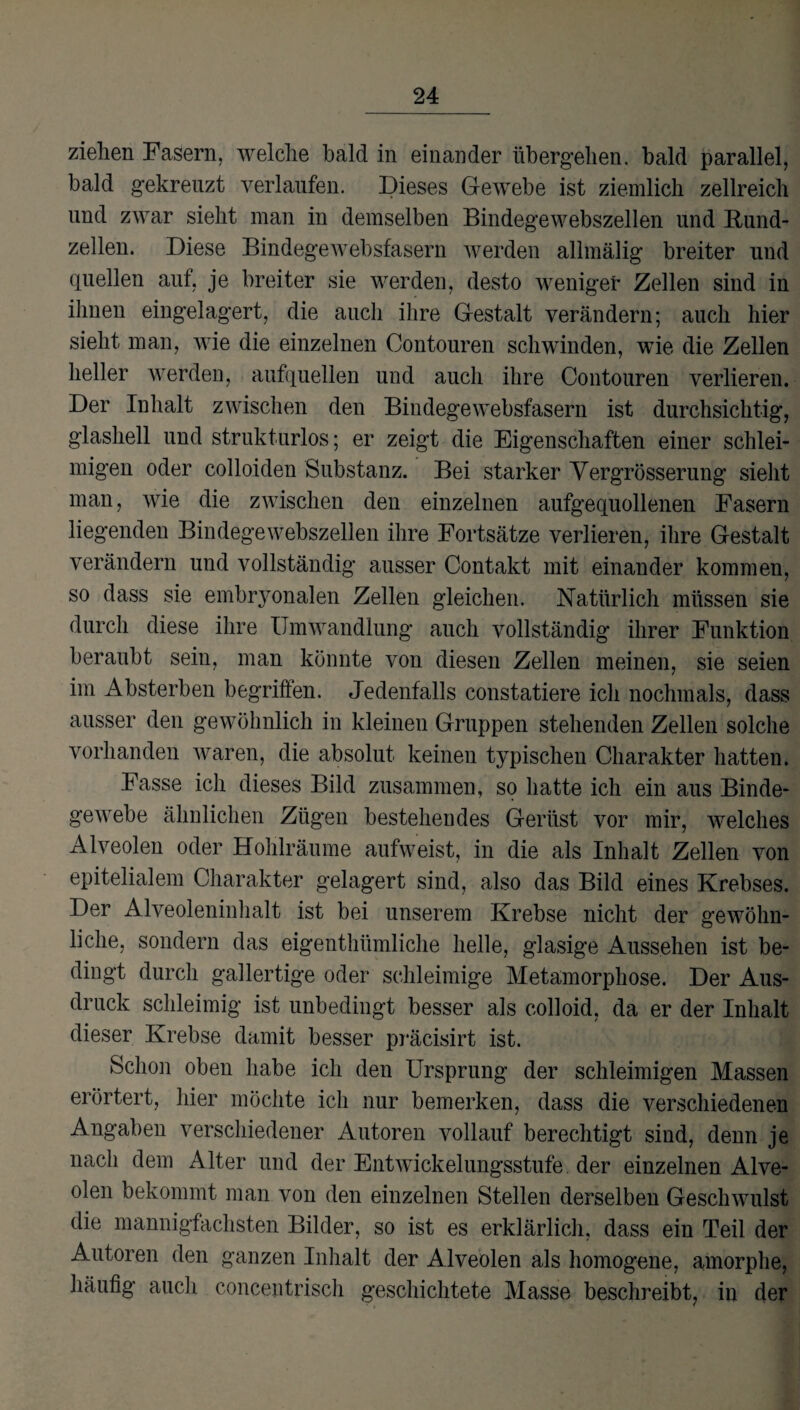 ziehen Fasern, welche bald in einander übergehen, bald parallel, bald gekreuzt verlaufen. Dieses Gewebe ist ziemlich zellreich und zwar sieht man in demselben Bindegewebszellen und Bund¬ zellen. Diese Bindegewebsfasern werden allmälig breiter und quellen auf, je breiter sie werden, desto weniger Zellen sind in ihnen eingelagert, die auch ihre Gestalt verändern; auch hier sieht man, wie die einzelnen Contouren schwinden, wie die Zellen heller werden, aufquellen und auch ihre Contouren verlieren. Der Inhalt zwischen den Bindegewebsfasern ist durchsichtig, glashell und strukturlos; er zeigt die Eigenschaften einer schlei¬ migen oder colloiden Substanz. Bei starker Vergrösserung sieht man, wie die zwischen den einzelnen aufgequollenen Fasern liegenden Bindegewebszellen ihre Fortsätze verlieren, ihre Gestalt verändern und vollständig ausser Contakt mit einander kommen, so dass sie embryonalen Zellen gleichen. Natürlich müssen sie durch diese ihre Umwandlung auch vollständig ihrer Funktion beraubt sein, man könnte von diesen Zellen meinen, sie seien im Absterben begriffen. Jedenfalls constatiere icli nochmals, dass ausser den gewöhnlich in kleinen Gruppen stehenden Zellen solche vorhanden waren, die absolut keinen typischen Charakter hatten. Fasse ich dieses Bild zusammen, so hatte ich ein aus Binde¬ gewebe ähnlichen Zügen bestehendes Gerüst vor mir, welches Alveolen oder Hohlräume aufweist, in die als Inhalt Zellen von epitelialem Charakter gelagert sind, also das Bild eines Krebses. Der Alveoleninhalt ist bei unserem Krebse nicht der gewöhn¬ liche, sondern das eigenthümliche helle, glasige Aussehen ist be¬ dingt durch gallertige oder schleimige Metamorphose. Der Aus¬ druck schleimig ist unbedingt besser als colloid, da er der Inhalt dieser Krebse damit besser präcisirt ist. Schon oben habe ich den Ursprung der schleimigen Massen erörtert, hier möchte ich nur bemerken, dass die verschiedenen Angaben verschiedener Autoren vollauf berechtigt sind, denn je nach dem Alter und der Entwickelungsstufe , der einzelnen Alve¬ olen bekommt man von den einzelnen Stellen derselben Geschwulst die mannigfachsten Bilder, so ist es erklärlich, dass ein Teil der Autoren den ganzen Inhalt der Alveolen als homogene, amorphe, häufig auch concentrisch geschichtete Masse beschreibt, in der