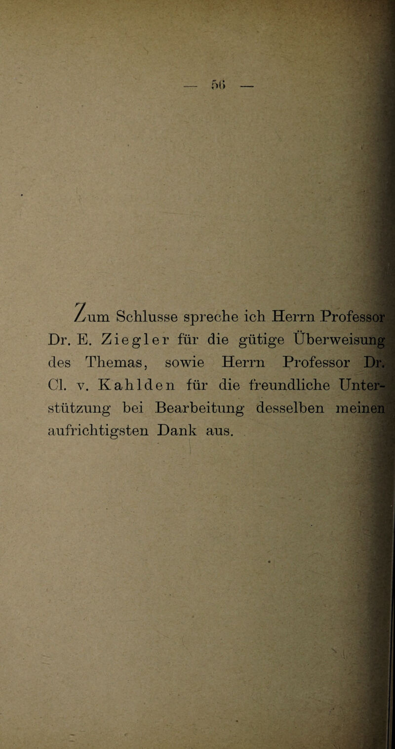 Lum Schlüsse spreche ich Herrn Professor Dr. E. Ziegler für die gütige Überweisung des Themas, sowie Herrn Professor Dr. CI. v. K ah Iden für die freundliche Unter- stützung bei Bearbeitung desselben meinen aufrichtigsten Dank aus.