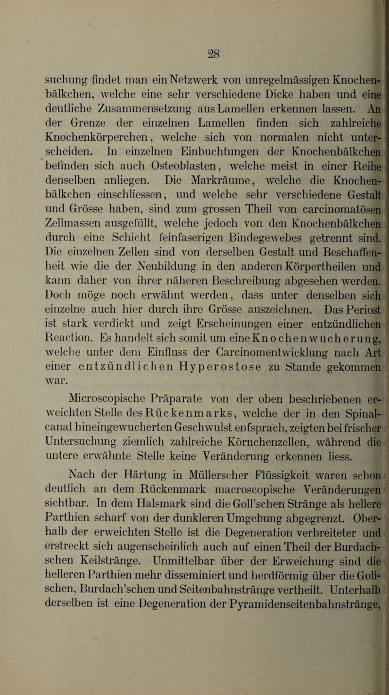 suchung findet man ein Netzwerk von unregelmässigen Knochen- bälkchen, welche eine sehr verschiedene Dicke haben und eine deutliche Zusammensetzung aus Lamellen erkennen lassen. An der Grenze der einzelnen Lamellen finden sich zahlreiche Knochenkörperchen, welche sich von normalen nicht unter¬ scheiden. In einzelnen Einbuchtungen der Knochenbälkchen befinden sich auch Osteoblasten, welche meist in einer Reihe denselben anliegen. Die Markräume, welche die Knochen¬ bälkchen einschliessen, und welche sehr verschiedene Gestalt und Grösse haben, sind zum grossen Theil von carcinomatösen Zellmassen ausgefüllt, welche jedoch von den Knochenbälkchen durch eine Schicht feinfaserigen Bindegewebes getrennt sind. Die einzelnen Zellen sind von derselben Gestalt und Beschaffen¬ heit wie die der Neubildung in den anderen Körpertheilen und kann daher von ihrer näheren Beschreibung abgesehen werden. Doch möge noch erwähnt werden, dass unter denselben sich einzelne auch hier durch ihre Grösse auszeichnen. Das Periost ist stark verdickt und zeigt Erscheinungen einer entzündlichen Reaction. Es handelt sich somit um eine Knochen Wucherung, welche unter dem Einfluss der Carcinomentwicklung nach Art einer entzündlichen Hyperostose zu Stande gekommen war. Microscopische Präparate von der oben beschriebenen er¬ weichten Stelle des Rückenmarks, welche der in den Spinal¬ canal hineingewucherten Geschwulst entsprach, zeigten bei frischer Untersuchung ziemlich zahlreiche Körnchenzellen, während die untere erwähnte Stelle keine Veränderung erkennen liess. Nach der Härtung in Müllerscher Flüssigkeit waren schon deutlich an dem Rückenmark macroscopische Veränderungen sichtbar. In dem Halsmark sind die Goll’schen Stränge als hellere Parthien scharf von der dunkleren Umgebung abgegrenzt. Ober¬ halb der erweichten Stelle ist die Degeneration verbreiteter und erstreckt sich augenscheinlich auch auf einen Theil der Burdach- schen Keilstränge. Unmittelbar über der Erweichung sind die helleren Parthien mehr disseminiert und herdförmig über die Goll- schen, Burdach’schen und Seitenbahnstränge vertheilt. Unterhalb derselben ist eine Degeneration der Pyramidenseitenbahnstränge,