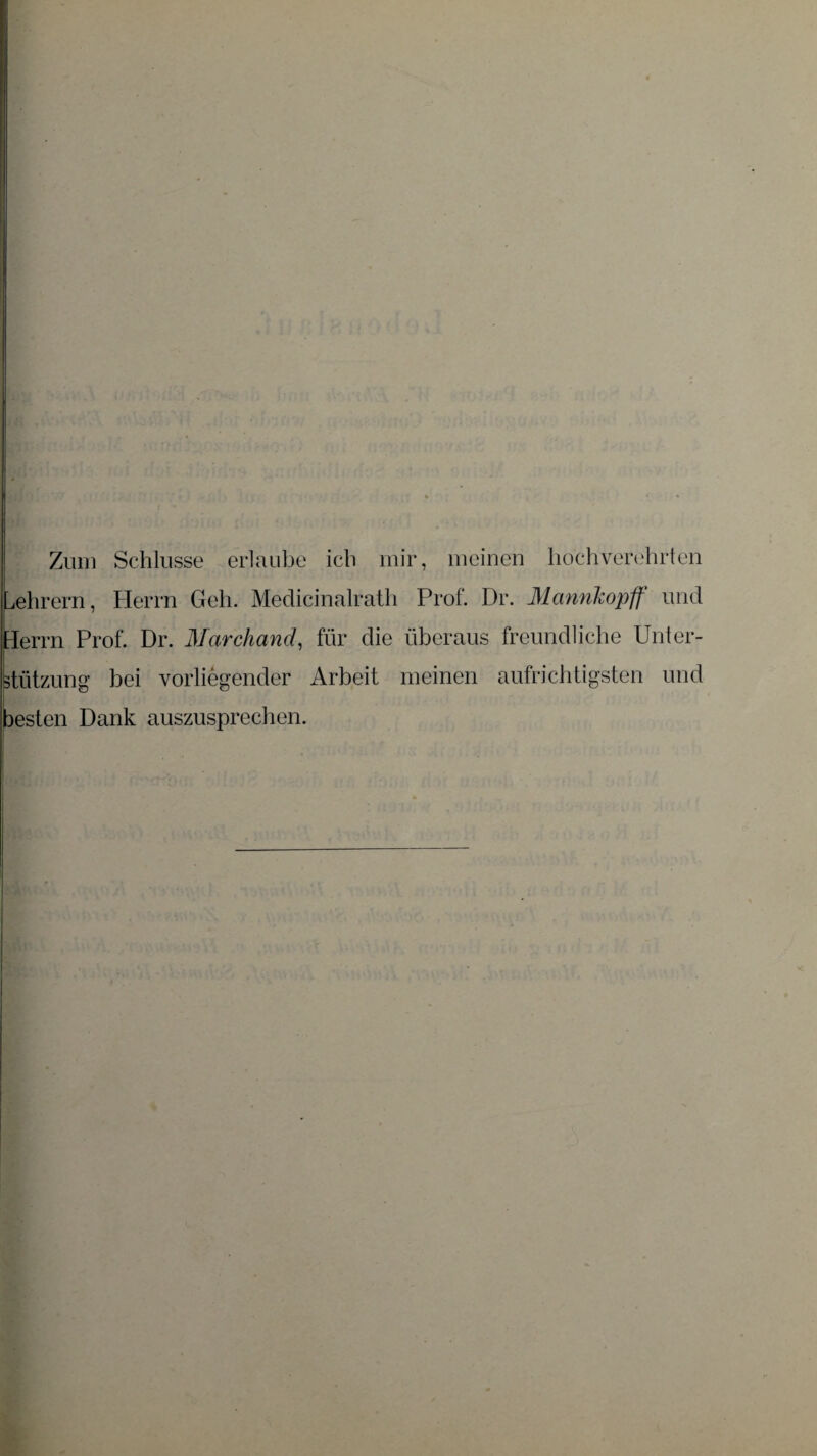 Zum Schlüsse erlaube ich mir, meinen hochverehrten Lehrern, Herrn Geh. Medieinalrath Prof. Dr. Marinkopff und Herrn Prof. Dr. Marchand, für die überaus freundliche Unter¬ stützung’ bei vorliegender Arbeit meinen aufrichtigsten und besten Dank auszusprechen.