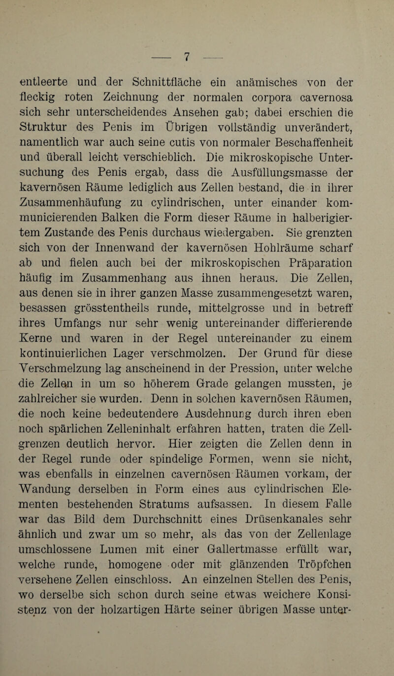 entleerte und der Schnittfläche ein anämisches von der fleckig roten Zeichnung der normalen corpora cavernosa sich sehr unterscheidendes Ansehen gab; dabei erschien die Struktur des Penis im Übrigen vollständig unverändert, namentlich war auch seine cutis von normaler Beschaffenheit und überall leicht verschieblich. Die mikroskopische Unter¬ suchung des Penis ergab, dass die Ausfüllungsmasse der kavernösen Räume lediglich aus Zellen bestand, die in ihrer Zusammenhäufung zu cylindrischen, unter einander kom- municierenden Balken die Form dieser Räume in halberigier¬ tem Zustande des Penis durchaus Wiedergaben. Sie grenzten sich von der Innenwand der kavernösen Hohlräume scharf ab und fielen auch bei der mikroskopischen Präparation häufig im Zusammenhang aus ihnen heraus. Die Zellen, aus denen sie in ihrer ganzen Masse zusammengesetzt waren, besassen grösstentheils runde, mittelgrosse und in betreff ihres Umfangs nur sehr wenig untereinander differierende Kerne und waren in der Regel untereinander zu einem kontinuierlichen Lager verschmolzen. Der Grund für diese Verschmelzung lag anscheinend in der Pression, unter welche die Zellern in um so höherem Grade gelangen mussten, je zahlreicher sie wurden. Denn in solchen kavernösen Räumen, die noch keine bedeutendere Ausdehnung durch ihren eben noch spärlichen Zelleninhalt erfahren hatten, traten die Zell¬ grenzen deutlich hervor. Hier zeigten die Zellen denn in der Regel runde oder spindelige Formen, wenn sie nicht, was ebenfalls in einzelnen cavernösen Räumen vorkam, der Wandung derselben in Form eines aus cylindrischen Ele¬ menten bestehenden Stratums aufsassen. In diesem Falle war das Bild dem Durchschnitt eines Drüsenkanales sehr ähnlich und zwar um so mehr, als das von der Zellenlage umschlossene Lumen mit einer Gallertmasse erfüllt war, welche runde, homogene oder mit glänzenden Tröpfchen versehene Zellen einschloss. An einzelnen Stellen des Penis, wo derselbe sich schon durch seine etwas weichere Konsi¬ stenz von der holzartigen Härte seiner übrigen Masse unter-