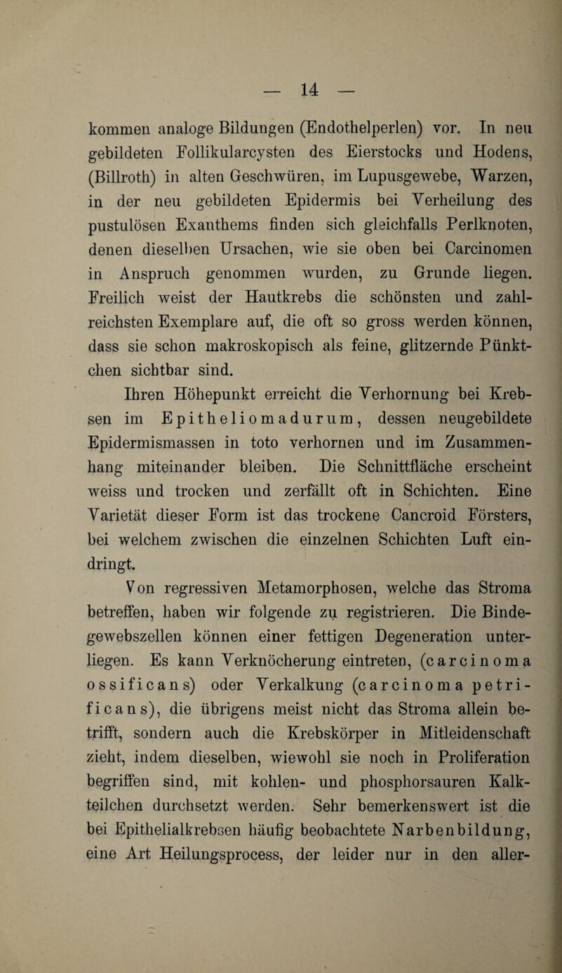 kommen analoge Bildungen (Endothelperlen) vor. In neu gebildeten Eollikularcysten des Eierstocks und Hodens, (Billroth) in alten Geschwüren, im Lupusgewebe, Warzen, in der neu gebildeten Epidermis bei Verheilung des pustulösen Exanthems finden sich gleichfalls Perlknoten, denen dieselben Ursachen, wie sie oben bei Carcinomen in Anspruch genommen wurden, zu Grunde liegen. Ereilich weist der Hautkrebs die schönsten und zahl¬ reichsten Exemplare auf, die oft so gross werden können, dass sie schon makroskopisch als feine, glitzernde Pünkt¬ chen sichtbar sind. Ihren Höhepunkt erreicht die Verhornung bei Kreb¬ sen im Epitheliomadurum, dessen neugebildete Epidermismassen in toto verhornen und im Zusammen¬ hang miteinander bleiben. Hie Schnittfläche erscheint weiss und trocken und zerfällt oft in Schichten. Eine Varietät dieser Form ist das trockene Cancroid Försters, bei welchem zwischen die einzelnen Schichten Luft ein¬ dringt. Von regressiven Metamorphosen, welche das Stroma betreffen, haben wir folgende zu registrieren. Die Binde¬ gewebszellen können einer fettigen Degeneration unter¬ liegen. Es kann Verknöcherung eintreten, (carcinoma ossificans) oder Verkalkung (carcinoma petri- ficans), die übrigens meist nicht das Stroma allein be¬ trifft, sondern auch die Krebskörper in Mitleidenschaft zieht, indem dieselben, wiewohl sie noch in Proliferation begriffen sind, mit kohlen- und phosphorsauren Kalk¬ teilchen durchsetzt werden. Sehr bemerkenswert ist die bei Epithelialkrebsen häufig beobachtete Narbenbildung, eine Art Heilungsprocess, der leider nur in den aller-