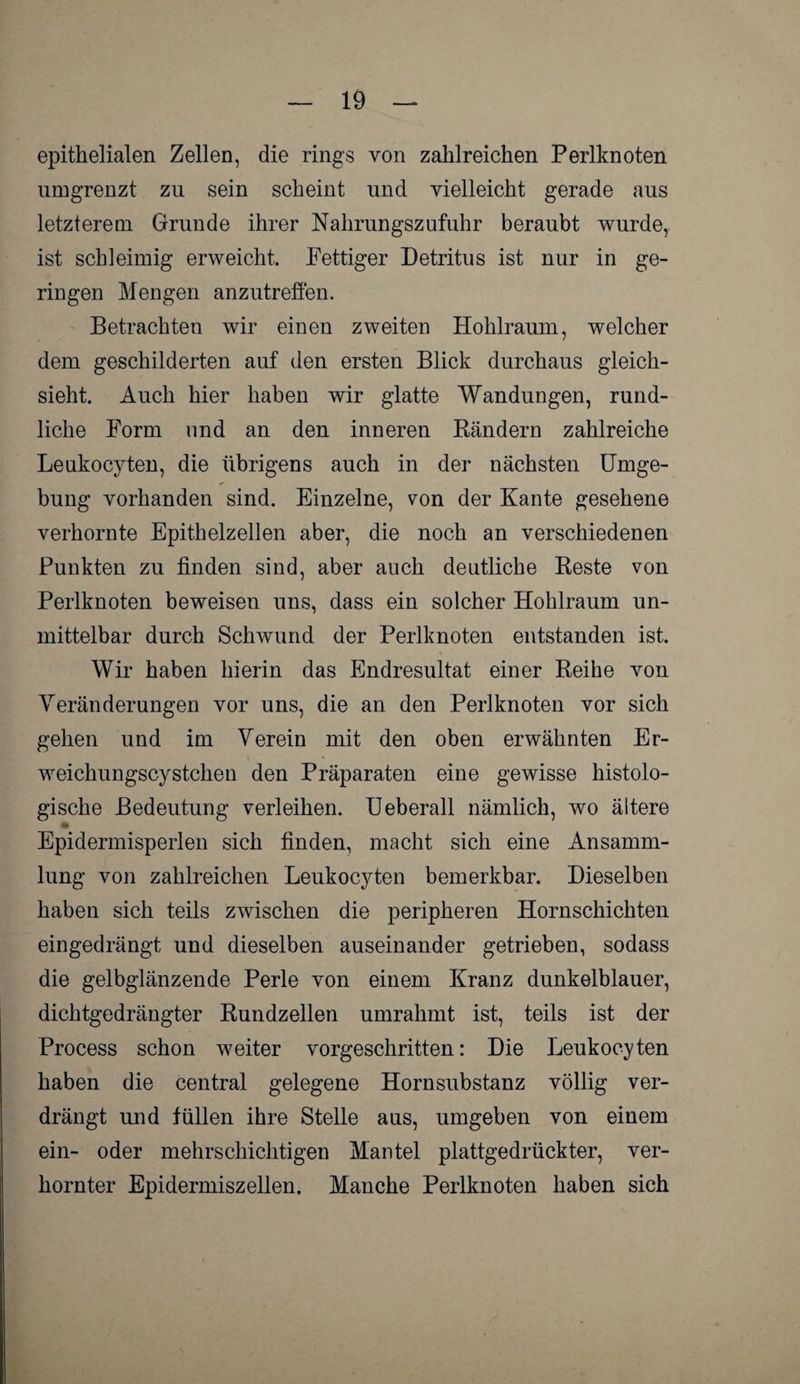 epithelialen Zellen, die rings von zahlreichen Perlknoten umgrenzt zu sein scheint und vielleicht gerade aus letzterem Grunde ihrer Nahrungszufuhr beraubt wurde, ist schleimig erweicht. Fettiger Detritus ist nur in ge¬ ringen Mengen anzutreffen. Betrachten wir einen zweiten Hohlraum, welcher dem geschilderten auf den ersten Blick durchaus gleich¬ sieht. Auch hier haben wir glatte Wandungen, rund¬ liche Form und an den inneren Bändern zahlreiche Leukocyten, die übrigens auch in der nächsten Umge¬ bung vorhanden sind. Einzelne, von der Kante gesehene verhornte Epithelzellen aber, die noch an verschiedenen Punkten zu finden sind, aber auch deutliche Beste von Perlknoten beweisen uns, dass ein solcher Hohlraum un¬ mittelbar durch Schwund der Perlknoten entstanden ist. Wir haben hierin das Endresultat einer Beihe von Veränderungen vor uns, die an den Perlknoten vor sich gehen und im Verein mit den oben erwähnten Er- weichungscystchen den Präparaten eine gewisse histolo¬ gische Bedeutung verleihen. Ueberall nämlich, wo ältere * Epidermisperlen sich finden, macht sich eine Ansamm¬ lung von zahlreichen Leukocyten bemerkbar. Dieselben haben sich teils zwischen die peripheren Hornschichten eingedrängt und dieselben auseinander getrieben, sodass die gelbglänzende Perle von einem Kranz dunkelblauer, dichtgedrängter Bundzellen umrahmt ist, teils ist der Process schon weiter vorgeschritten: Die Leukocyten haben die central gelegene Hornsubstanz völlig ver¬ drängt und füllen ihre Stelle aus, umgeben von einem ein- oder mehrschichtigen Mantel plattgedrückter, ver¬ hornter Epidermiszellen. Manche Perlknoten haben sich