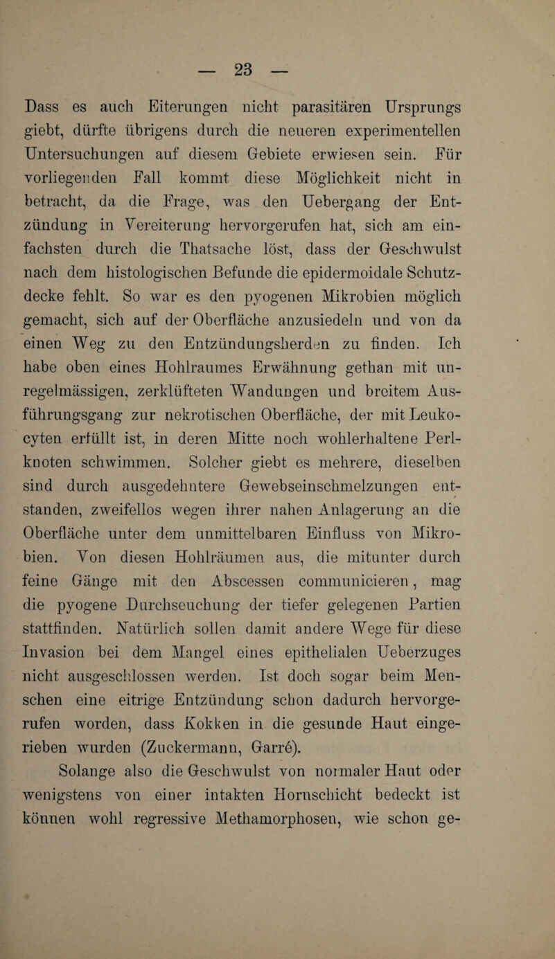 Dass es auch Eiterungen nicht parasitären Ursprungs giebt, dürfte übrigens durch die neueren experimentellen Untersuchungen auf diesem Gebiete erwiesen sein. Für vorliegenden Fall kommt diese Möglichkeit nicht in betracht, da die Frage, was den Uebergang der Ent¬ zündung in Vereiterung hervorgerufen hat, sich am ein¬ fachsten durch die Thatsache löst, dass der Geschwulst nach dem histologischen Befunde die epidermoidale Schutz¬ decke fehlt. So war es den pyogenen Mikrobien möglich gemacht, sich auf der Oberfläche anzusiedeln und von da einen Weg zu den Entzündungsherden zu finden. Ich habe oben eines Hohlraumes Erwähnung gethan mit un¬ regelmässigen, zerklüfteten Wandungen und breitem Aus¬ führungsgang zur nekrotischen Oberfläche, der mit Leuko- cyten erfüllt ist, in deren Mitte noch wohlerhaltene Perl¬ knoten schwimmen. Solcher giebt es mehrere, dieselben sind durch ausgedehntere Gewebseinschmelzungen ent¬ standen, zweifellos wegen ihrer nahen Anlagerung an die Oberfläche unter dem unmittelbaren Einfluss von Mikro¬ bien. Von diesen Hohlräumen aus, die mitunter durch feine Gänge mit den Abscessen communicieren, mag die pyogene Durchseuchung der tiefer gelegenen Partien stattfinden. Natürlich sollen damit andere Wege für diese Invasion bei dem Mangel eines epithelialen Ueberznges nicht ausgeschlossen werden. Ist doch sogar beim Men¬ schen eine eitrige Entzündung schon dadurch hervorge¬ rufen worden, dass Kokken in die gesunde Haut einge¬ rieben wurden (Zuckermann, Garre). Solange also die Geschwulst von normaler Haut oder wenigstens von einer intakten Hornschicht bedeckt ist können wohl regressive Methamorphosen, wie schon ge-