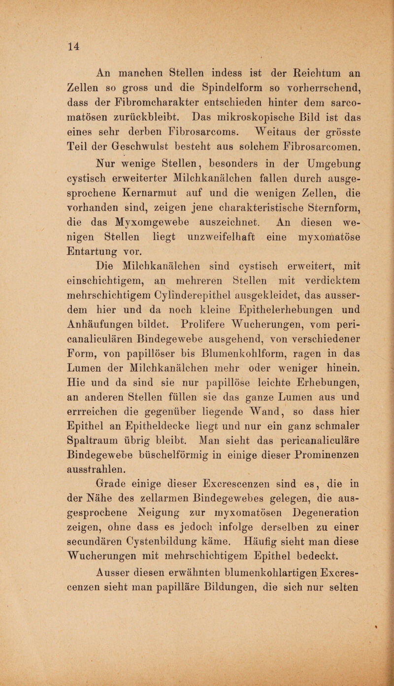 / An manchen Stellen indess ist der Beichtum an Zellen so gross und die Spindelform so vorherrschend, dass der Fibromcharakter entschieden hinter dem sarco- matösen zurückbleibt. Das mikroskopische Bild ist das eines sehr derben Fibrosarcoms. Weitaus der grösste Teil der Geschwulst besteht aus solchem Fibrosarcomen. Nur wenige Stellen, besonders in der Umgebung cystisch erweiterter Milchkanälchen fallen durch ausge¬ sprochene Kernarmut auf und die wenigen Zellen, die vorhanden sind, zeigen jene charakteristische Sternform, die das Myxomgewebe auszeichnet. An diesen we¬ nigen Stellen liegt unzweifelhaft eine myxomatöse Entartung vor. Die Milchkanälchen sind cystisch erweitert, mit einschichtigem, an mehreren Stellen mit verdicktem mehrschichtigem Cylinderepithel ausgekleidet, das ausser¬ dem hier und da noch kleine Epithelerhebungen und Anhäufungen bildet. Prolifere Wucherungen, vom peri- canaliculären Bindegewebe ausgehend, von verschiedener Form, von papillöser bis Blumenkohlform, ragen in das Lumen der Milchkanälchen mehr oder weniger hinein. Hie und da sind sie nur papillöse leichte Erhebungen, an anderen Stellen füllen sie das ganze Lumen aus und errreichen die gegenüber liegende Wand, so dass hier Epithel an Epitheldecke liegt und nur ein ganz schmaler Spaltraum übrig bleibt. Man sieht das pericanaliculäre Bindegewebe büschelförmig in einige dieser Prominenzen ausstrahlen. Grade einige dieser Excrescenzen sind es, die in der Nähe des zellarmen Bindegewebes gelegen, die aus¬ gesprochene Neigung zur inyxomatösen Degeneration zeigen, ohne dass es jedoch infolge derselben zu einer secundären Cystenbildung käme. Häufig sieht man diese Wucherungen mit mehrschichtigem Epithel bedeckt. Ausser diesen erwähnten blumenkohlartigen Excres¬ cenzen sieht man papilläre Bildungen, die sich nur selten