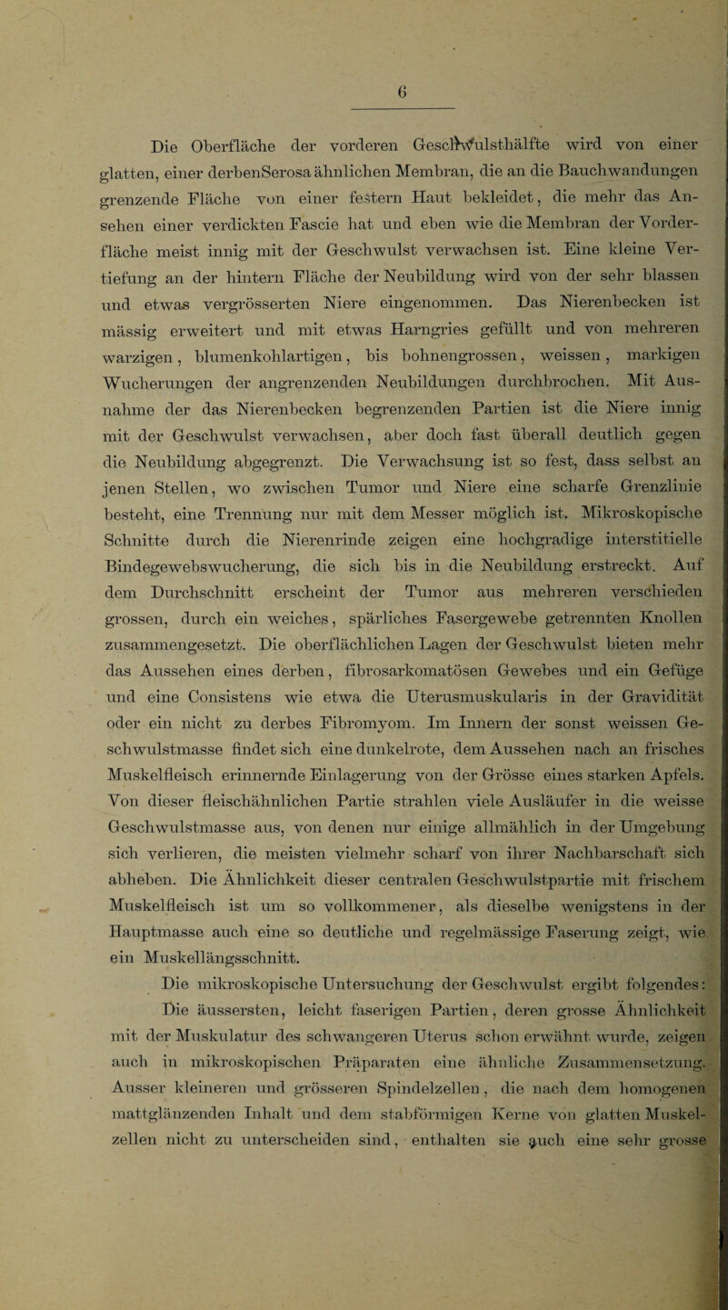 Die Oberfläche der vorderen Gescftvful sthälfte wird von einer glatten, einer derbenSerosa ähnlichen Membran, die an die Bauchwandungen grenzende Fläche von einer festem Haut bekleidet, die mehr das An¬ sehen einer verdickten Fascie hat und eben wie die Membran der Vorder¬ fläche meist innig mit der Geschwulst verwachsen ist. Eine kleine Ver¬ tiefung an der hintern Fläche der Neubildung wird von der sehr blassen und etwas vergrösserten Niere eingenommen. Das Nierenbecken ist mässig erweitert und mit etwas Harngries gefüllt und von mehreren warzigen , blumenkohlartigen, bis bohnengrossen, weissen , markigen Wucherungen der angrenzenden Neubildungen durchbrochen. Mit Aus¬ nahme der das Nierenbecken begrenzenden Partien ist die Niere innig mit der Geschwulst verwachsen, aber doch fast überall deutlich gegen die Neubildung abgegrenzt. Die Verwachsung ist so fest, dass selbst an jenen Stellen, wo zwischen Tumor und Niere eine scharfe Grenzlinie besteht, eine Trennung nur mit dem Messer möglich ist. Mikroskopische Schnitte durch die Nierenrinde zeigen eine hochgradige interstitielle Bindegewebswucherung, die sich bis in die Neubildung erstreckt. Auf dem Durchschnitt erscheint der Tumor aus mehreren verschieden grossen, durch ein weiches, spärliches Fasergewebe getrennten Knollen zusammengesetzt. Die oberflächlichen Lagen der Geschwulst bieten mehr das Aussehen eines derben, fibrosarkomatösen Gewebes und ein Gefüge und eine Consistens wie etwa die Uterusmuskularis in der Gravidität oder ein nicht zu derbes Fibromyom. Im Innern der sonst weissen Ge¬ schwulstmasse findet sich eine dunkelrote, dem Aussehen nach an frisches Muskelfleisch erinnernde Einlagerung von der Grösse eines starken Apfels. Von dieser fleischähnlichen Partie strahlen viele Ausläufer in die weisse Geschwulstmasse aus, von denen nur einige allmählich in der Umgebung sich verlieren, die meisten vielmehr scharf von ihrer Nachbarschaft sich abheben. Die Ähnlichkeit dieser centralen Geschwulstpartie mit frischem Muskelfleisch ist um so vollkommener, als dieselbe wenigstens in der Hauptmasse auch eine so deutliche und regelmässige Faserung zeigt, wie ein Muskellängsschnitt. Die mikroskopische Untersuchung der Geschwulst ergibt folgendes: Die äussersten, leicht faserigen Partien, deren grosse Ähnlichkeit mit der Muskulatur des schwangeren Uterus schon erwähnt wurde, zeigen auch in mikroskopischen Präparaten eine ähnliche Zusammensetzung. Ausser kleineren und grösseren Spindelzellen , die nach dem homogenen mattglänzenden Inhalt und dem stabförmigen Kerne von glatten Muskel¬ zellen nicht zu unterscheiden sind, enthalten sie g/uch eine sehr grosse