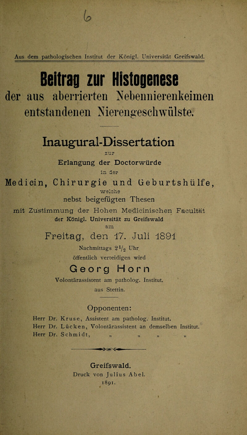 Aus dem pathologischen Institut der König]. Universität Greifswald. Beitrag zur Histogenese der aus aberrierten Nebennierenkeimen entstandenen Nierengeschwülste. Inaugural-Dissertation zur Erlangung der Doctorwürde in der Me di ein, Chirurgie und üeburtshülfe, welche nebst beigefügten Thesen mit Zustimmung der Hohen Medieinisehen Faeultät der Königl. Universität zu Greifswald am Freitag, den 17. Juli 1891 Nachmittags 2^2 Uhr öffentlich verteidigen wird Georg Horn Volontärassistent am patholog. Institut, aus Stettin. Opponenten: Herr Dr. Kruse, Assistent am patholog. Institut. Herr Dr. Lücken, Volontärassistent an demselben Institut. Herr Dr. Schmidt, „ „ „ „ Greifswald. Druck von Julius Abel. 1891.