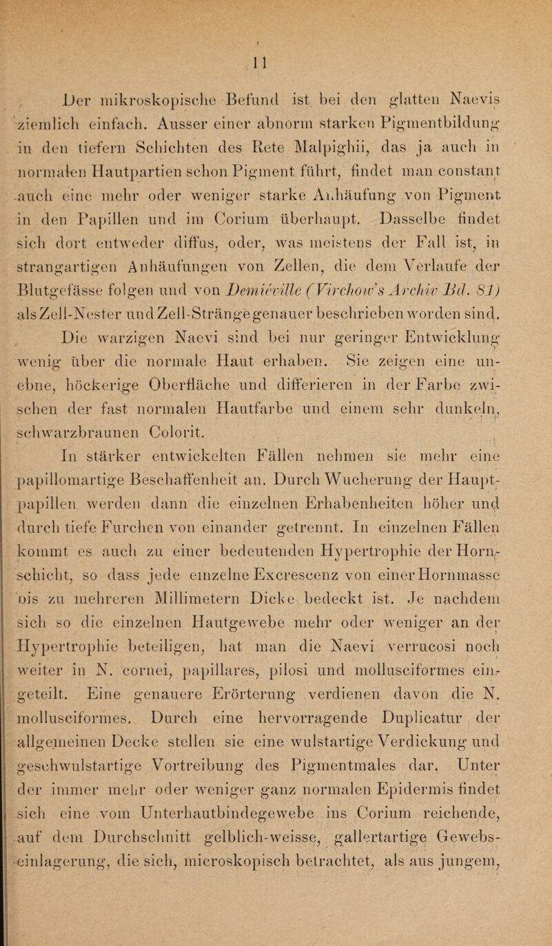 Der mikroskopische Befund ist bei den glatten Naevis ziemlich einfach. Ausser einer abnorm starken Pigmentbildung in den tiefem Schichten des Rete Malpighii, das ja auch in normalen Hautpartien schon Pigment führt, findet man constant -auch eine mehr oder weniger starke Anhäufung von Pigment in den Papillen und im Corium überhaupt. Dasselbe findet sich dort entweder diffus, oder, was meistens der Fall ist, in strangartigen Anhäufungen von Zellen, die dem Verlaufe der Blutgefässe folgen und von DemumUe (Virchoiv’s Archiv Bä. SJ) als Zell-Nester und Zell-Stränge genauer beschrieben worden sind. Die warzigen Naevi sind bei nur geringer Entwicklung wenig über die normale Haut erhaben. Sie zeigen eine un¬ ebne, höckerige Oberfläche und differieren in der Farbe zwi¬ schen der fast normalen Hautfarbe und einem sehr dunkeln, schwarzbraunen Colorit. In stärker entwickelten Fällen nehmen sie mehr eine papillomartige Beschaffenheit an. Durch Wucherung der Haupt¬ papillen werden dann die einzelnen Erhabenheiten höher und durch tiefe Furchen von einander getrennt. In einzelnen Fällen kommt es auch zu einer bedeutenden Hypertrophie der Horn¬ schicht, so dass jede einzelne Excrescenz von einer Hornmasse ois zu mehreren Millimetern Dicke bedeckt ist. Je nachdem sich so die einzelnen Hautgewebe mehr oder weniger an der Hypertrophie beteiligen, hat man die Naevi verrucosi noch weiter in N. cornei, papilläres, pilosi und mollusciformes eim geteilt. Eine genauere Erörterung verdienen davon die N. mollusciformes. Durch eine hervorragende Duplieatur der allgemeinen Decke stellen sie eine wulstartige Verdickung und geschwulstartige Vortreibung des Pigmentmales dar. Unter der immer mehr oder weniger ganz normalen Epidermis findet sich eine vom Unterhautbindegewebe ins Corium reichende, auf dem Durchschnitt gelblich-weisse, gallertartige Gewebs- •einlagerung, die sich, microskopisch betrachtet, als aus jungem,