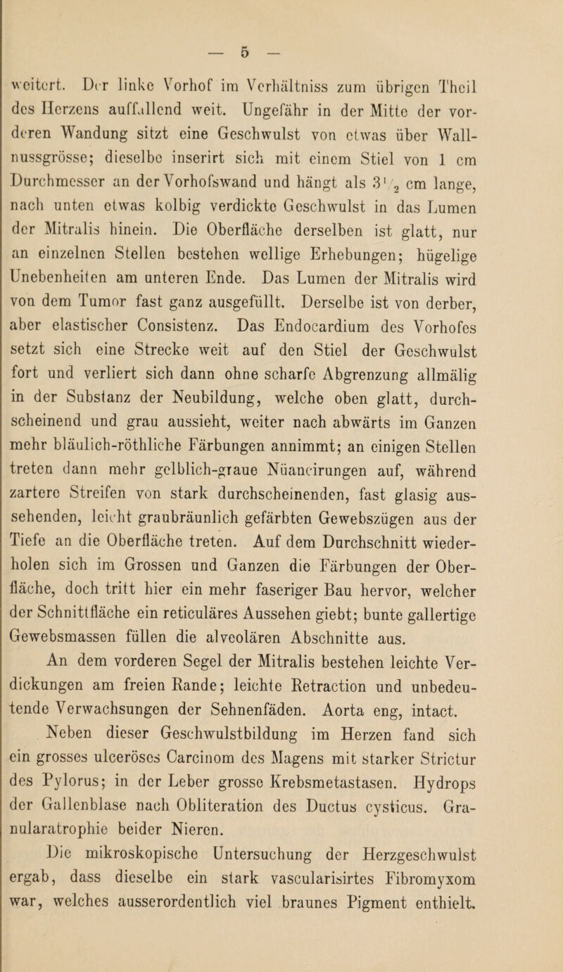 weitert. Der linke Vorhof im Verhältnis zum übrigen Theil des Herzens auffallend weit. Ungefähr in der Mitte der vor¬ deren Wandung sitzt eine Geschwulst von etwas über Wall¬ nussgrösse; dieselbe inserirt sich mit einem Stiel von 1 cm Durchmesser an der Vorhofswand und hängt als 3V2 cm lange, nach unten etwas kolbig verdickte Geschwulst in das Lumen der Mitralis hinein. Die Oberfläche derselben ist glatt, nur an einzelnen Stellen bestehen wellige Erhebungen; hügelige Unebenheiten am unteren Ende. Das Lumen der Mitralis wird von dem Tumor fast ganz ausgefüllt. Derselbe ist von derber, aber elastischer Consistenz. Das Endocardium des Vorhofes setzt sich eine Strecke weit auf den Stiel der Geschwulst fort und verliert sich dann ohne scharfe Abgrenzung allmälig in der Substanz der Neubildung, welche oben glatt, durch¬ scheinend und grau aussieht, weiter nach abwärts im Ganzen mehr bläulich-röthliche Färbungen annimmt; an einigen Stellen treten dann mehr gelblich-graue Nüancirungen auf, während zartere Streifen von stark durchscheinenden, fast glasig aus¬ sehenden, leicht graubräunlich gefärbten Gewebszügen aus der Tiefe an die Oberfläche treten. Auf dem Durchschnitt wieder¬ holen sich im Grossen und Ganzen die Färbungen der Ober¬ fläche, doch tritt hier ein mehr faseriger Bau hervor, welcher der Schnittfläche ein reticuläres Aussehen giebt; bunte gallertige Gewebsmassen füllen die alveolären Abschnitte aus. An dem vorderen Segel der Mitralis bestehen leichte Ver¬ dickungen am freien Rande; leichte Retraction und unbedeu¬ tende Verwachsungen der Sehnenfäden. Aorta eng, intact. Neben dieser Geschwulstbildung im Herzen fand sich ein grosses ulceröses Carcinom des Magens mit starker Strictur des Pylorus; in der Leber grosse Krebsmetastasen. Hydrops der Gallenblase nach Obliteration des Ductus cysticus. Gra- nularatrophie beider Nieren. Die mikroskopische Untersuchung der Herzgeschwulst ergab, dass dieselbe ein stark vascularisirtes Fibromyxom war, welches ausserordentlich viel braunes Pigment enthielt.