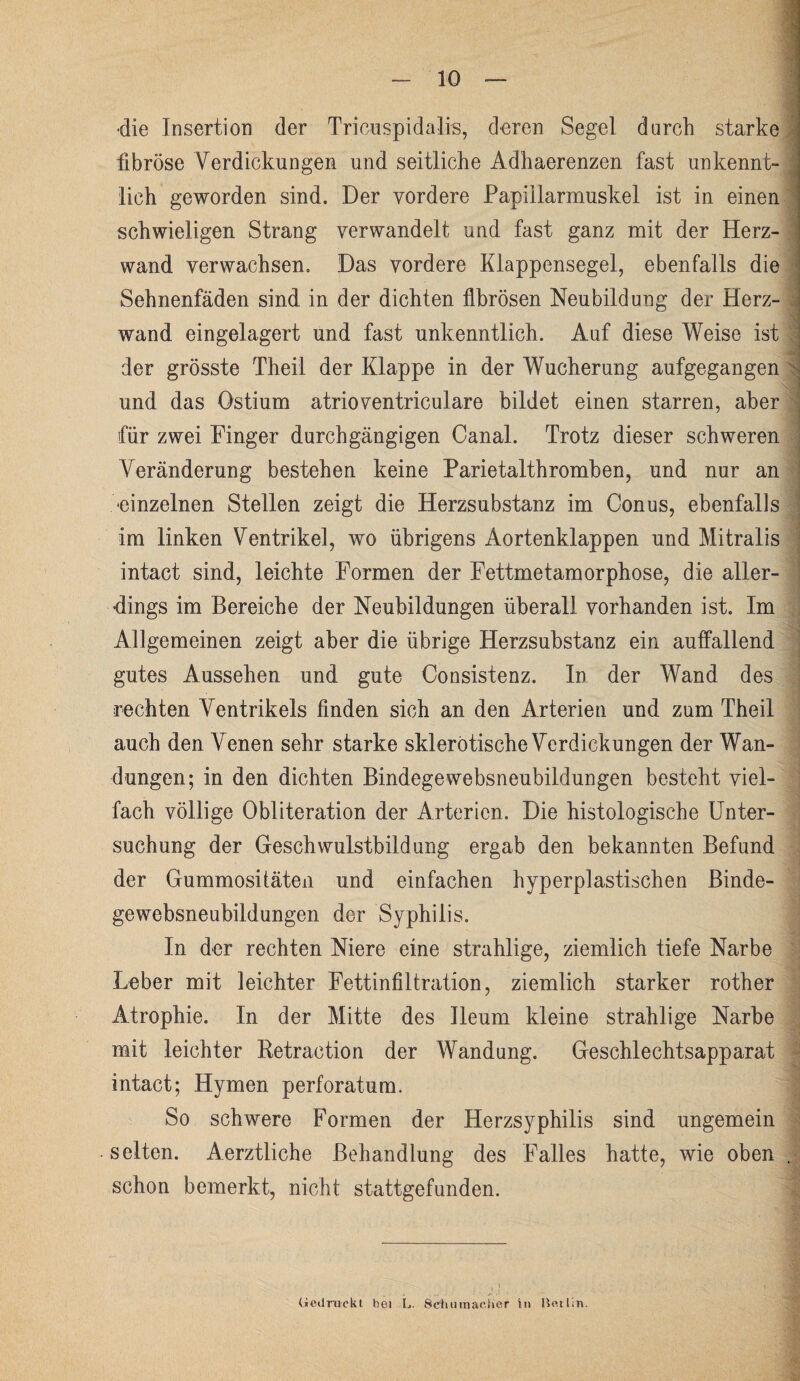 die Insertion der Tricuspidalis, deren Segel durch starke fibröse Verdickungen und seitliche Adhaerenzen fast unkennt¬ lich geworden sind. Der vordere Papillarmuskel ist in einen schwieligen Strang verwandelt und fast ganz mit der Herz¬ wand verwachsen. Das vordere Klappensegel, ebenfalls die Sehnenfäden sind in der dichten fibrösen Neubildung der Herz¬ wand eingelagert und fast unkenntlich. Auf diese Weise ist der grösste Theil der Klappe in der Wucherung aufgegangen und das Ostium atrioventriculare bildet einen starren, aber für zwei Finger durchgängigen Canal. Trotz dieser schweren Veränderung bestehen keine Parietalthromben, und nur an einzelnen Stellen zeigt die Herzsubstanz im Conus, ebenfalls im linken Ventrikel, wo übrigens Aortenklappen und Mitralis intact sind, leichte Formen der Fettmetamorphose, die aller¬ dings im Bereiche der Neubildungen überall vorhanden ist. Im Allgemeinen zeigt aber die übrige Herzsubstanz ein auffallend gutes Aussehen und gute Consistenz. In der Wand des rechten Ventrikels finden sich an den Arterien und zum Theil auch den Venen sehr starke sklerotische Verdickungen der Wan¬ dungen; in den dichten Bindegewebsneubildungen besteht viel¬ fach völlige Obliteration der Arterien. Die histologische Unter¬ suchung der Geschwulstbildung ergab den bekannten Befund der Gummositäten und einfachen hyperplastischen Binde¬ gewebsneubildungen der Syphilis. In der rechten Niere eine strahlige, ziemlich tiefe Narbe Leber mit leichter Fettinfiltration, ziemlich starker rother Atrophie. In der Mitte des Ileum kleine strahlige Narbe mit leichter Retraction der Wandung. Geschlechtsapparat intact; Hymen perforatum. So schwere Formen der Herzsyphilis sind ungemein selten. Aerztliche Behandlung des Falles hatte, wie oben . schon bemerkt, nicht stattgefunden. Gedruckt hei L. Schumacher in Bettin.
