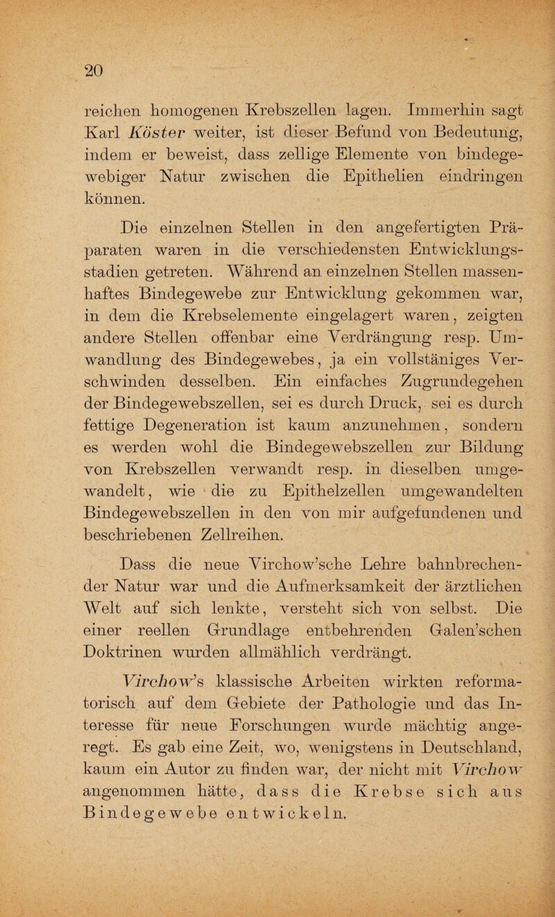 reichen homogenen Krebszellen lagen. Immerhin sagt Karl Köster weiter, ist dieser Befund von Bedeutung, indem er beweist, dass zellige Elemente von bindege¬ webiger Natur zwischen die Epithelien eindringen können. Die einzelnen Stellen in den angefertigten Prä¬ paraten waren in die verschiedensten Entwicklungs¬ stadien getreten. Während an einzelnen Stellen massen¬ haftes Bindegewebe zur Entwicklung gekommen war, in dem die Krebselemente eingelagert waren, zeigten andere Stellen offenbar eine Verdrängung resp. Um¬ wandlung des Bindegewebes, ja ein vollstäniges Ver¬ schwinden desselben. Ein einfaches Zugrundegehen der Bindegewebszellen, sei es durch Druck, sei es durch fettige Degeneration ist kaum anzunehmen, sondern es werden wohl die Bindegewebszellen zur Bildung von Krebszellen verwandt resp. in dieselben umge¬ wandelt , wie die zu Epithelzellen umgewandelten Bindegewebszellen in den von mir aufgefundenen und beschriebenen Zellreihen. Dass die neue Virchow’sche Lehre bahnbrechen¬ der Natur war und die Aufmerksamkeit der ärztlichen Welt auf sich lenkte, versteht sich von selbst. Die einer reellen Grundlage entbehrenden Galen’schen Doktrinen wurden allmählich verdrängt. Virehöw’s klassische Arbeiten wirkten reforma¬ torisch auf dem Gebiete der Pathologie und das In¬ teresse für neue Forschungen wurde mächtig ange¬ regt. Es gab eine Zeit, wo, wenigstens in Deutschland, kaum ein Autor zu finden war, der nicht mit Virchow angenommen hätte; dass die Krebse sich aus Bindegewebe entwickeln.