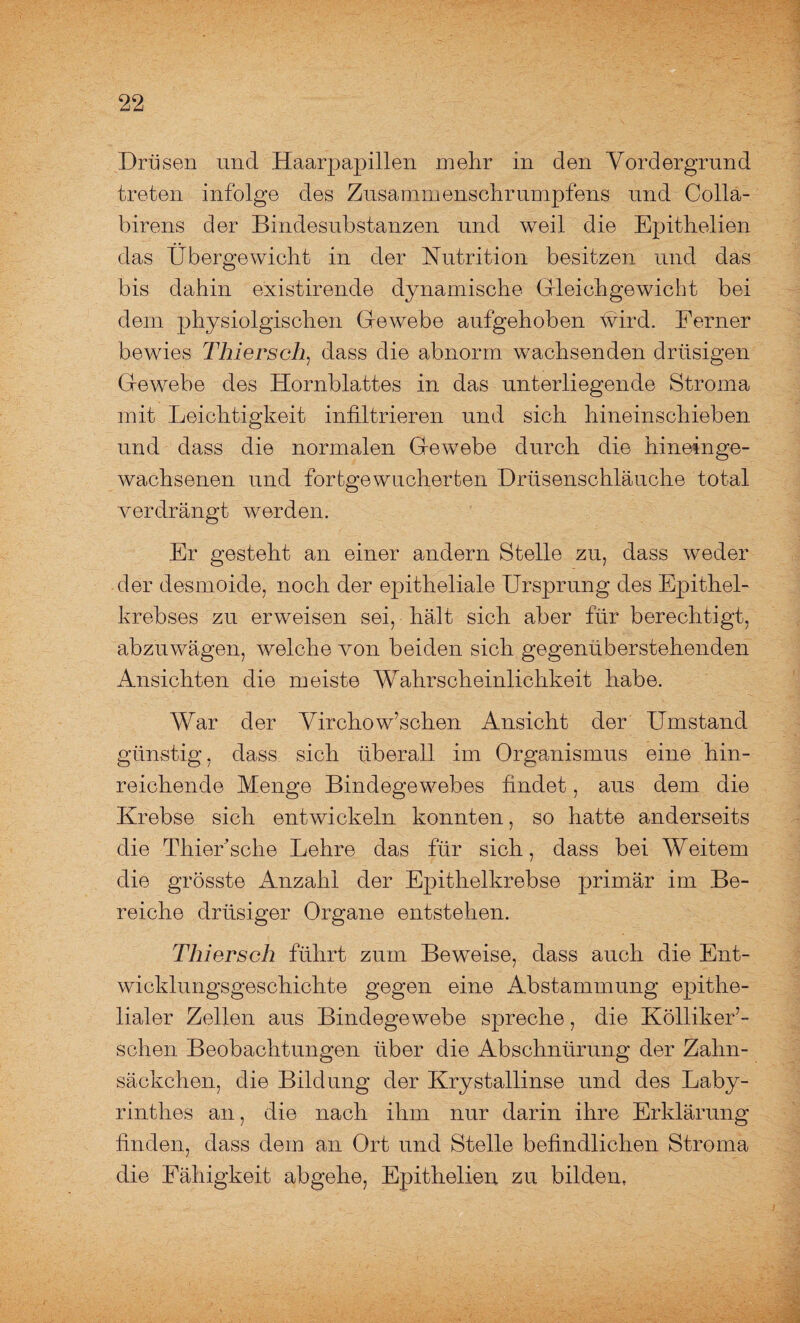 Drüsen und Haarpapillen mehr in den Vordergrund treten infolge des Zusammenschrumpfens und Colla- birens der Bindesubstanzen und weil die Epithelien das Übergewicht in der Nutrition besitzen und das bis dahin existirende dynamische Gleichgewicht bei dem physiolgischen Gewebe aufgehoben wird. Ferner bewies Thiersch, dass die abnorm wachsenden drüsigen Gewebe des Hornblattes in das unterliegende Stroma mit Leichtigkeit infiltrieren und sich hineinschieben und dass die normalen Gewebe durch die hineinge¬ wachsenen und fortgewucherten Drüsenschläuche total verdrängt werden. Er gesteht an einer andern Stelle zu, dass weder der desmoide, noch der epitheliale Ursprung des Epithel¬ krebses zu erweisen sei, hält sich aber für berechtigt, abzuwägen, welche von beiden sich gegenüberstehenden Ansichten die meiste Wahrscheinlichkeit habe. War der Virchowischen Ansicht der Umstand günstig, dass sich überall im Organismus eine hin¬ reichende Menge Bindegewebes findet, aus dem die Krebse sich entwickeln konnten, so hatte anderseits die ThieEsche Lehre das für sich, dass bei Weitem die grösste Anzahl der Epithelkrebse primär im Be¬ reiche drüsiger Organe entstehen. Thiersch führt zum Beweise, dass auch die Ent¬ wicklungsgeschichte gegen eine Abstammung epithe¬ lialer Zellen aus Bindegewebe spreche, die KöllikeE- schen Beobachtungen über die Abschnürung der Zahn¬ säckchen, die Bildung der Krystallinse und des Laby¬ rinthes an, die nach ihm nur darin ihre Erklärung finden, dass dem an Ort und Stelle befindlichen Stroma die Fähigkeit abgehe, Epithelien zu bilden,