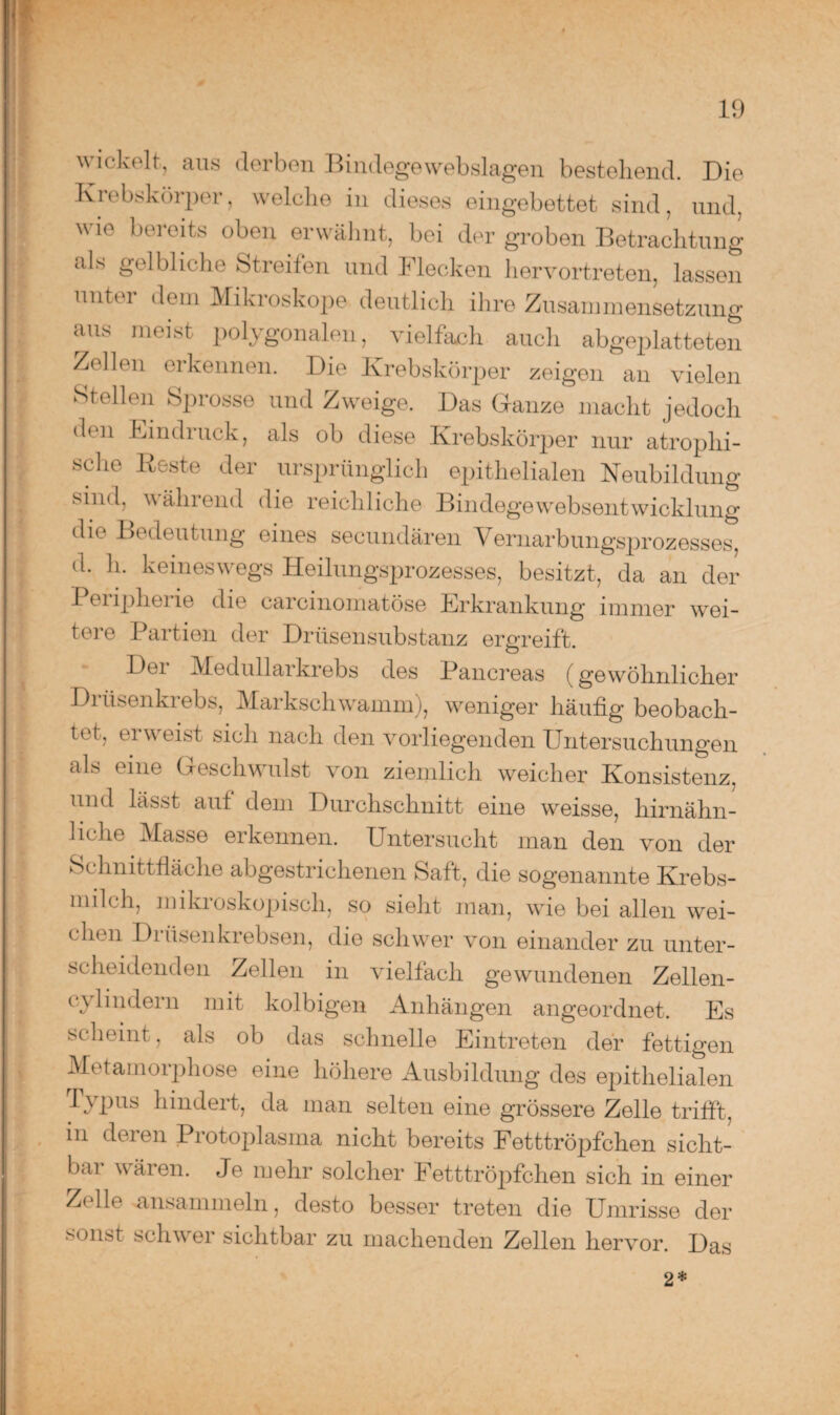 wickelt, aus derben Bindege webslagen bestehend. Die Kiebskörper, welche in dieses eingebettet sind, und. wie bereits oben erwähnt, bei der groben Betrachtung als gelbliche Streifen und Flecken hervortreten, lassen unter dem Mikroskope deutlich ihre Zusammensetzung aus meist polygonalen, vielfach auch abgeplatteten Zellen erkennen. Die Krebskörper zeigen an vielen Stellen Sprosse und Zweige. Das Ganze macht jedoch dt n Lin di uck, als ob diese Krebskörper nur atrophi¬ sche Beste der ursprünglich epithelialen Neubildung sind, während die reichliche Bindegewebsentwicklung die Bedeutung eines secundären Vernarbungsprozesses, d. h. keineswegs Heilungsprozesses, besitzt, da an der Peripherie die carcinomatöse Lrkrankung immer wei¬ tere Partien der Drüsensubstanz ergreift. Dei Medullaikrebs des Pancreas (gewöhnlicher Di üsenkrebs, Markschwamm), weniger häufig beobach¬ tet, erweist sich nach den vorliegenden Untersuchungen als eine Geschwulst von ziemlich weicher Konsistenz, und lässt auf dem Durchschnitt eine weisse, hirnähn¬ liche Masse erkennen. Untersucht man den von der Schnittfläche abgestrichenen Saft, die sogenannte Krebs¬ milch, mikroskopisch, so sieht man, wie bei allen wei¬ chen Drüsenkrebsen, die schwer von einander zu unter¬ seheidenden Zellen in vielfach gewundenen Zellen- cylindern mit kolbigen Anhängen angeordnet. Es scheint, als ob das schnelle Eintreten der fettigen Metamorphose eine höhere Ausbildung des epithelialen Typus hindert, da man selten eine grössere Zolle trifft, in deren Protoplasma nicht bereits Fetttröpfchen sicht¬ bar wären. Je mehr solcher Fetttröpfchen sich in einer Zelle *nsammeln, desto besser treten die Umrisse der sonst schw er sichtbar zu machenden Zellen hervor. Das 2*