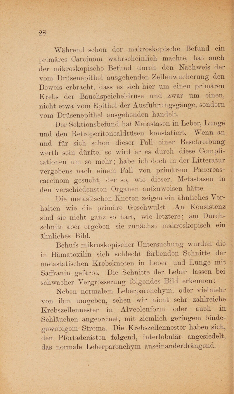 Während schon der makroskopische Befund ein primäres Carcinom wahrscheinlich machte, hat auch der mikroskopische Befund durch den Nachweis der vom Drüsenepithel ausgehenden Zellen Wucherung den Beweis erbracht, dass es sich hier um einen primären Krebs der Bauchspeicheldrüse und zwar um einen, nicht etwa vom Epithel der Ausführungsgänge, sondern vom Drüsenepithel ausgehenden handelt. Der Sektionsbefund hat Metastasen in Leber, Lunge und den Ketroperitonealdrüsen konstatiert. Wenn an und für sich schon dieser Fall einer Beschreibung werth sein dürfte, so wird er es durch diese (Jompli¬ cationen um so mehr; habe ich doch in der Litteratur vergebens nach einem Fall von primärem Pancreas- carcinom gesucht, der so, wie dieser, Metastasen in den verschiedensten Organen aufzuweisen hätte. Die metastischen Knoten zeigen ein ähnliches Ver¬ halten wie die primäre Geschwulst. An Konsistenz sind sie nicht ganz so hart, wie letztere; am Durch¬ schnitt aber ergeben sie zunächst makroskopisch ein ähnliches Bild. Behufs mikroskopischer Untersuchung wurden die in Hämatoxilin sich schlecht färbenden Schnitte der metastatischen Krebsknoten in Leber und Lunge mit Saffranin gefärbt. Die Schnitte der Leber lassen bei schwacher Vergrösserung folgendes Bild erkennen: Neben normalem Leberparenchym, oder vielmehr von ihm umgeben, sehen wir nicht sehr zahlreiche Krebszellennester in Alveolenform oder auch in Schläuchen angeordnet, mit ziemlich geringem binde¬ gewebigem Stroma. Die Krebszellennester haben sich, den Pfortaderästen folgend, interlobulär angesiedelt, das normale Leberparenchym auseinander drängend.