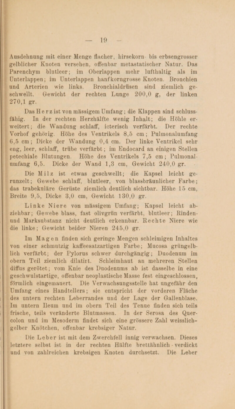 Ausdehnung mit einer Menge flacher, hirsekorn bis erbsengrosser gelblicher Knoten versehen, offenbar metastatischer Natur. Das Parenchym blutleer; im Oberlappen mehr lufthaltig als im Unterlappen; im Unterlappen hanfkorngrosse Knoten. Bronchien und Arterien wie links. Bronchialdrüsen sind ziemlich ge¬ schwellt. Gewicht der rechten Lunge 200,0 g, der linken 270,1 gr. Das Herz ist von massigem Umfang; die Klappen sind schluss¬ fähig. In der rechten Herzhälfte wenig Inhalt; die Höhle er¬ weitert ; die Wandung schlaff, icterisch verfärbt. Der rechte Vorhof gehöiig. Höhe des Ventrikels 8,5 cm; Pulmonalumfang 0,5 cm; Dicke der Wandung 0,4 cm. Der linke Ventrikel sehr eng, leer, schlaff, trübe verfärbt; im Endocard an einigen Stellen petechiale Blutungen. Höhe des Ventrikels 7,5 cm; Pulmonal¬ umfang 6,5. Dicke der Wand 1,3 cm, Gewicht 240,0 gr. Die Milz ist etwas geschwellt; die Kapsel leicht ge¬ runzelt; Gewebe schlaff, blutleer, von blassbräunlicher Farbe; das trabekuläre Gerüste ziemlich deutlich sichtbar. Höhe 15 cm, Breite 9,5, Dicke 3,0 cm, Gewicht 130,0 gr. Linke Niere von mässigem Umfang; Kapsel leicht ab¬ ziehbar; Gewebe blass, fast olivgrün verfärbt, blutleer; Rinden- und Marksubstanz nicht deutlich erkennbar. Rechte Niere wie die linke; Gewicht beider Nieren 245,0 gr. Im Magen finden sich geringe Mengen schleimigen Inhaltes von einer schmutzig kaffeesatzartigen Farbe; Mucosa grüngelb¬ lich verfärbt; der Pylorus schwer durchgängig; Duodenum im obern Teil ziemlich dilatirt. Schleimhaut an mehreren Stellen diffus gerötet; vom Knie des Duodenums ab ist dasselbe in eine geschwulstartige, offenbar neoplastische Masse fest eingeschlossen, förmlich eingemauert. Die Verwachsungsstelle hat ungefähr den Umfang eines Handtellers; sie entspricht der vorderen Fläche des untern rechten Leberrandes und der Lage der Gallenblase. Im untern Ileum und im obern Teil des Tenue finden sich teils frische, teils veränderte Blutmassen. In der Serosa des Quer¬ colon und im Mesoderm findet sich eine grössere Zahl weisslich- gelber Knötchen, offenbar krebsiger Natur. Die Leber ist mit dem Zwerchfell innig verwachsen. Dieses letztere selbst ist in der rechten Hälfte brettähnlich - verdickt und von zahlreichen krebsigen Knoten durchsetzt. Die Leber