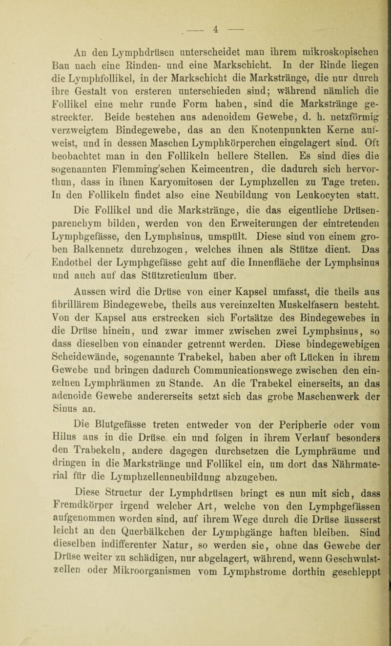 - 4- An den Lymphdriisen unterscheidet man ihrem mikroskopischen Bau nach eine Rinden- und eine Markschicht. In der Rinde liegen die Lymphfollikel, in der Markschicht die Markstränge, die nur durch ihre Gestalt von ersteren unterschieden sind; während nämlich die Follikel eine mehr runde Form haben, sind die Markstränge ge¬ streckter. Beide bestehen aus adenoidem Gewebe, d. h. netzförmig verzweigtem Bindegewebe, das an den Knotenpunkten Kerne auf¬ weist, und in dessen Maschen Lymphkörperchen eingelagert sind. Oft beobachtet man in den Follikeln hellere Stellen. Es sind dies die sogenannten Flemming’schen Keimcentren, die dadurch sich hervor- thun, dass in ihnen Karyomitosen der Lymphzellen zu Tage treten. In den Follikeln findet also eine Neubildung von Leukoeyten statt. Die Follikel und die Markstränge, die das eigentliche Drüsen - parenchym bilden, werden von den Erweiterungen der eintretenden Lymphgefässe, den Lymphsinus, umspült. Diese sind von einem gro¬ ben Balkennetz durchzogen, welches ihnen als Stütze dient. Das Endothel der Lymphgefässe geht auf die Innenfläche der Lymphsinus und auch auf das Stützreticulum über. Aussen wird die Drüse von einer Kapsel umfasst, die theils aus fibrillärem Bindegewebe, theils aus vereinzelten Muskelfasern besteht. Von der Kapsel aus erstrecken sich Fortsätze des Bindegewebes in die Drüse hinein, und zwar immer zwischen zwei Lymphsinus, so dass dieselben von einander getrennt werden. Diese bindegewebigen Scheidewände, sogenannte Trabekel, haben aber oft Lücken in ihrem Gewebe und bringen dadurch Communicationswege zwischen den ein¬ zelnen Lymphräumen zu Stande. An die Trabekel einerseits, an das adenoide Gewebe andererseits setzt sich das grobe Maschenwerk der Sinus an. Die Blutgefässe treten entweder von der Peripherie oder vom Hilus aus in die Drüse ein und folgen in ihrem Verlauf besonders den Trabekeln, andere dagegen durchsetzen die Lymphräume und dringen in die Markstränge und Follikel ein, um dort das Nährmate¬ rial für die Lymphzellenneubildung abzugeben. Diese Structur der Lymphdrüsen bringt es nun mit sich, dass Fremdkörper irgend welcher Art, welche von den Lymphgefässen aufgenommen worden sind, auf ihrem Wege durch die Drüse äusserst leicht an den Querbälkchen der Lymphgänge haften bleiben. Sind dieselben indifferenter Natur, so werden sie, ohne das Gewebe der Drüse weiter zu schädigen, nur abgelagert, während, wenn Geschwulst¬ zellen oder Mikroorganismen vom Lymphstrome dorthin geschleppt