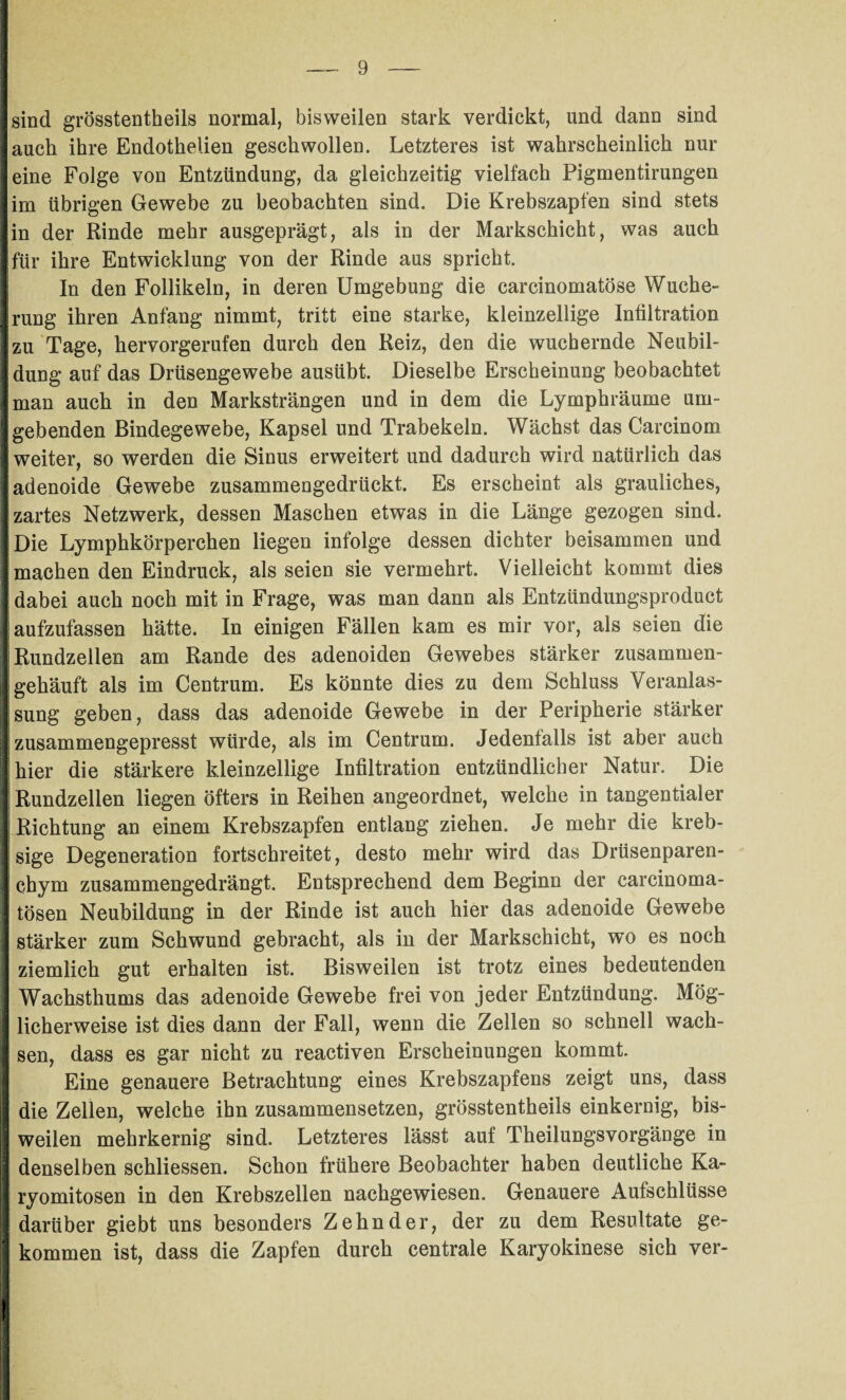 sind grösstentheils normal, bisweilen stark verdickt, und dann sind auch ihre Endothelien geschwollen. Letzteres ist wahrscheinlich nur eine Folge von Entzündung, da gleichzeitig vielfach Pigmentirungen im übrigen Gewebe zu beobachten sind. Die Krebszapfen sind stets in der Rinde mehr ausgeprägt, als in der Markschicht, was auch für ihre Entwicklung von der Rinde aus spricht. In den Follikeln, in deren Umgebung die carcinomatöse Wuche¬ rung ihren Anfang nimmt, tritt eine starke, kleinzellige Infiltration zu Tage, hervorgerufen durch den Reiz, den die wuchernde Neubil¬ dung auf das Drüsengewebe ausübt. Dieselbe Erscheinung beobachtet man auch in den Marksträngen und in dem die Lymphräume um¬ gebenden Bindegewebe, Kapsel und Trabekeln. Wächst das Carcinom weiter, so werden die Sinus erweitert und dadurch wird natürlich das adenoide Gewebe zusammengedrückt. Es erscheint als grauliches, zartes Netzwerk, dessen Maschen etwas in die Länge gezogen sind. Die Lymphkörperchen liegen infolge dessen dichter beisammen und machen den Eindruck, als seien sie vermehrt. Vielleicht kommt dies dabei auch noch mit in Frage, was man dann als Entzündungsproduct aufzufassen hätte. In einigen Fällen kam es mir vor, als seien die Rundzellen am Rande des adenoiden Gewebes stärker zusammen- j gehäuft als im Centrum. Es könnte dies zu dem Schluss Veranlas¬ sung geben, dass das adenoide Gewebe in der Peripherie stärker j zusammengepresst würde, als im Centrum. Jedenfalls ist aber auch hier die stärkere kleinzellige Infiltration entzündlicher Natur. Die Rundzellen liegen öfters in Reihen angeordnet, welche in tangentialer Richtung an einem Krebszapfen entlang ziehen. Je mehr die kreb- | sige Degeneration fortschreitet, desto mehr wird das Drüsenparen- I chym zusammengedrängt. Entsprechend dem Beginn der carcinoma- tösen Neubildung in der Rinde ist auch hier das adenoide Gewebe i stärker zum Schwund gebracht, als in der Markschicht, wo es noch j ziemlich gut erhalten ist. Bisweilen ist trotz eines bedeutenden Wachsthums das adenoide Gewebe frei von jeder Entzündung. Mög¬ licherweise ist dies dann der Fall, wenn die Zellen so schnell wach¬ sen, dass es gar nicht zu reactiven Erscheinungen kommt. Eine genauere Betrachtung eines Krebszapfens zeigt uns, dass die Zellen, welche ihn zusammensetzen, grösstentheils einkernig, bis¬ weilen mehrkernig sind. Letzteres lässt auf Theilungsvorgänge in denselben schliessen. Schon frühere Beobachter haben deutliche Ka- ryomitosen in den Krebszellen nachgewiesen. Genauere Aufschlüsse I darüber giebt uns besonders Zehn der, der zu dem Resultate ge¬ kommen ist, dass die Zapfen durch centrale Karyokinese sich ver- I