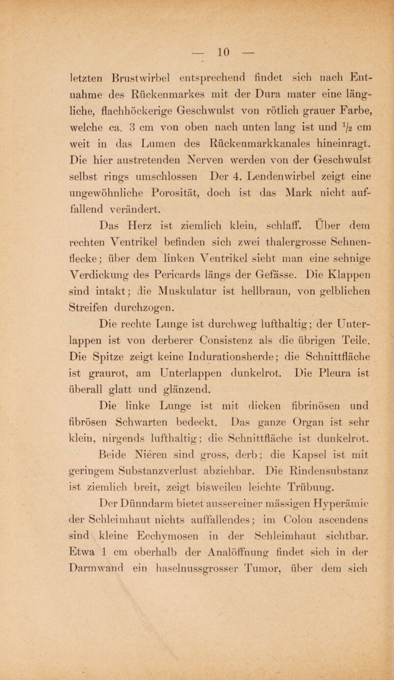 10 letzten Brustwirbel entsprechend findet sich nach Ent¬ nahme des Rückenmarkes mit der Dura mater eine läng¬ liche, flachhöckerige Geschwulst von rötlich grauer Farbe, welche ca. 3 cm von oben nach unten lang ist und ^2 cm weit in das Lumen des Rückenmarkkanales hineinragt. Die hier austretenden Nerven werden von der Geschwulst selbst rings umschlossen Der 4. Lendenwirbel zeigt eine ungewöhnliche Porosität, doch ist das Mark nicht auf¬ fallend verändert. Das Herz ist ziemlich klein, schlaff. Über dem rechten Ventrikel befinden sich zwei thalergrosse Sehnen¬ flecke; über dem linken Ventrikel sieht man eine sehnige Verdickung des Pericards längs der Gefässe. Die Klappen sind intakt; die Muskulatur ist hellbraun, von gelblichen Streifen durchzogen. Die rechte Lunge ist durchweg lufthaltig; der Unter¬ lappen ist von derberer Consistenz als die übrigen Teile. Die Spitze zeigt keine Indurationsherde; die Schnittfläche ist graurot, am Unterlappen dunkelrot. Die Pleura ist überall glatt und glänzend. Die linke Lunge ist mit dicken fibrinösen und fibrösen Schwarten bedeckt. Das ganze Organ ist sehr kleiu, nirgends lufthaltig; die Schnittfläche ist dunkelrot. Beide Nieren sind gross, derb; die Kapsel ist mit geringem Substanzverlust abziehbar. Die Rindensubstanz ist ziemlich breit, zeigt bisweilen leichte Trübung. Der Dünndarm bietet ausser einer mässigen Hyperämie der Schleimhaut nichts auffallendes; im Colon ascendens sind kleine Ecchymosen in der Schleimhaut sichtbar. Etwa 1 cm oberhalb der Analöffnung findet sich in der Darm wand ein haselnussgrosser Tumor, über dem sich