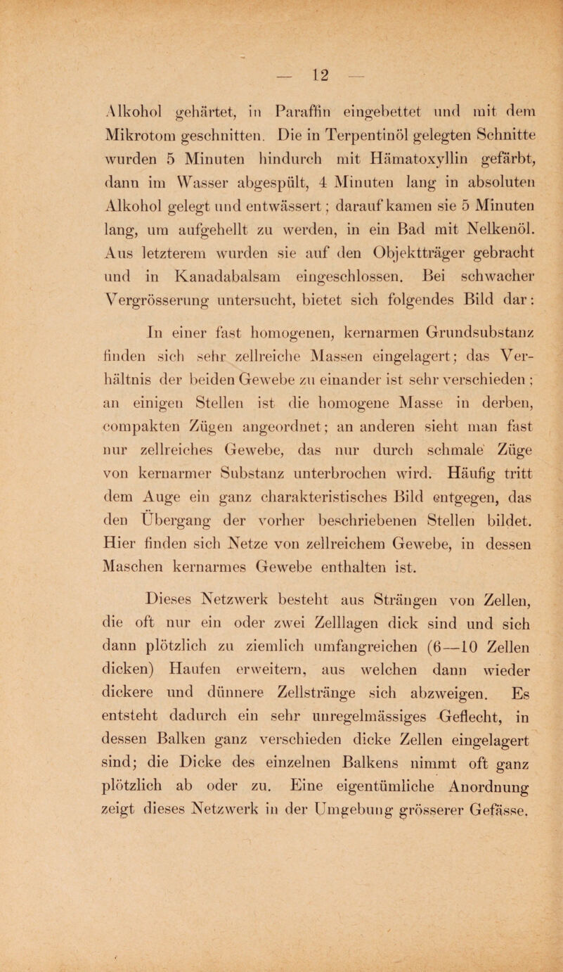 Alkohol gehärtet, in Paraffin eingebettet und mit dem Mikrotom geschnitten. Die in Terpentinöl gelegten Schnitte wurden 5 Minuten hindurch mit Hämatoxyllin gefärbt, dann im Wasser abgespült, 4 Minuten lang in absoluten Alkohol gelegt und entwässert; darauf kamen sie 5 Minuten lang, um aufgehellt zu werden, in ein Bad mit Nelkenöl. Aus letzterem wurden sie auf den Objektträger gebracht und in Kanadabalsam eingeschlossen. Bei schwacher Vergrösserung untersucht, bietet sich folgendes Bild dar: In einer fast homogenen, kernarmen Grundsubstanz finden sich sehr zellreiche Massen eingelagert; das Ver¬ hältnis der beiden Gewebe zu einander ist sehr verschieden ; an einigen Stellen ist die homogene Masse in derben, compakten Zügen angeordnet ; an anderen sieht man fast nur zellreiches Gewebe, das nur durch schmale Züge von kernarmer Substanz unterbrochen wird. Häufig tritt dem Auge ein ganz charakteristisches Bild entgegen, das den Übergang der vorher beschriebenen Stellen bildet. Hier finden sich Netze von zellreichem Gewebe, in dessen Maschen kernarmes Gewebe enthalten ist. Dieses Netzwerk besteht aus Strängen von Zellen, die oft nur ein oder zwei Zelllagen dick sind und sich dann plötzlich zu ziemlich umfangreichen (6—10 Zellen dicken) Haufen erweitern, aus welchen dann wieder dickere und dünnere Zellstränge sich abzweigen. Es entsteht dadurch ein sehr unregelmässiges Geflecht, in dessen Balken ganz verschieden dicke Zellen eingelagert sind; die Dicke des einzelnen Balkens nimmt oft ganz plötzlich ab oder zu. Eine eigentümliche Anordnung zeigt dieses Netzwerk in der Umgebung grösserer Gefässe.