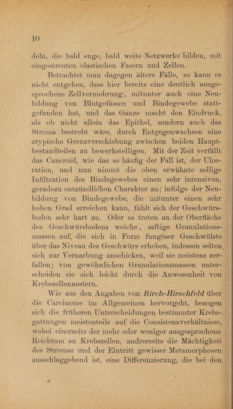 dein, die bald enge, bald weite Netzwerke bilden, mit eingestreuten elastischen Fasern und Zellen. Betrachtet man dagegen ältere Fälle, so kann es nicht entgehen, dass. hier bereits eine deutlich ausge¬ sprochene Zell Vermehrung, mitunter auch eine Neu¬ bildung von Blutgefässen und Bindegewebe statt¬ gefunden hat, und das Ganze macht den Eindruck, als ob nicht allein das Epithel, sondern auch das Stroma bestrebt wäre, durch Entgegenwachsen eine atypische Grenz Verschiebung zwischen beiden Haupt¬ bestandteilen zu bewerkstelligen. Mit der Zeit verfällt das Cancroid, wie das so häufig der Fall ist, der Ulce- ration, und nun nimmt die oben erwähnte zeitige Infiltration des Bindegewebes einen sehr intensiven, geradezu entzündlichen Charakter an; infolge der Neu¬ bildung von Bindegewebe, die mitunter einen sehr hohen Grad erreichen kann, fühlt sich der Geschwürs¬ boden sehr hart an. Oder es treten an der Oberfläche des Geschwürsbodens weiche, saftige Granulations¬ massen auf, die sich in Form fungöser Geschwülste über das Niveau des Geschwürs erheben, indessen selten sich zur Vernarbung anschicken, weil sie meistens zer¬ fallen ; von gewöhnlichen Granulationsmassen unter¬ scheiden sie sich leicht durch die Anwesenheit von Krebszellennestern. Wie aus den Angaben von Birch-Hirschfeld über die Carcinome im Allgemeinen hervorgeht, bezogen sich die früheren Unterscheidungen bestimmter Krebs¬ gattungen meistenteils auf die Consistenzverhältnisse, wobei einerseits der mehr oder weniger ausgesprochene Eeichtum an Krebszellen, andrerseits die Mächtigkeit des Stromas und der Eintritt gewisser Metamorphosen ausschlaggebend ist, eine Differenzierung, die bei den