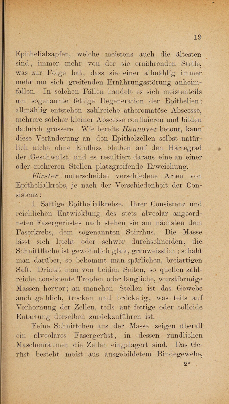 Epithelialzapfen, welche meistens auch die ältesten sind, immer mehr von der sie ernährenden Stelle, was zur Folge hat, dass sie einer allmählig immer mehr um sich greifenden Ernährungsstörung anheim¬ fallen. In solchen Fällen handelt es sich meistenteils um sogenannte fettige Degeneration der Epithelien; allmählig entstehen zahlreiche atheromatöse Abscesse, mehrere solcher kleiner Abscesse confluieren und bilden dadurch grössere. Wie bereits Hannover betont, kann diese Veränderung an den Epithelzellen selbst natür¬ lich nicht ohne Einfluss bleiben auf den Härtegrad der Geschwulst, und es resultiert daraus eine an einer od§r mehreren Stellen platzgreifende Erweichung. Förster unterscheidet verschiedene Arten von Epithelialkrebs, je nach der Verschiedenheit der C011- sistenz : 1. Saftige Epithelialkrebse. Ihrer Consistenz und reichlichen Entwicklung des stets alveolar angeord¬ neten Fasergerüstes nach stehen sie am nächsten dem Easerkrebs, dem sogenannten Scirrhus. Die Masse lässt sich leicht oder schwer durchschneiden, die Schnittfläche ist gewöhnlich glatt, grauweisslich; schabt man darüber, so bekommt man spärlichen, breiartigen Saft. Drückt man von beiden Seiten, so quellen zahl¬ reiche consistente Tropfen oder längliche, wurstförmige Massen hervor; an manchen Stellen ist das Gewebe auch gelblich, trocken und bröckelig, was teils auf Verhornung der Zellen, teils auf fettige oder colloide Entartung derselben zurückzuführen ist. Feine Schnittchen aus der Masse zeigen überall ein alveolares Fasergerüst, in dessen rundlichen Maschehräumen die Zellen eingelagert sind. Das Ge¬ rüst besteht meist aus ausgebildetem Bindegewebe, 2*