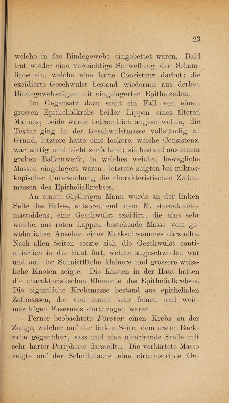 welche in das Bindegewebe eingebettet waren.. Bald trat wieder eine verdächtige Schwellung der Scham¬ lippe ein, welche eine harte Consistenz darbot; die excidierte Geschwulst bestand wiederum aus derben Bind ege websziigen mit eingelagerten Epithelzellen. Im Gegensatz dazu steht ein Fall von einem grossen Epithelialkrebs beider Lippen eines älteren Mannes; beide waren beträchtlich angeschwollen, die Textur ging in der Geschwulstmasse vollständig zu Grund, letztere hatte eine lockere, weiche Consistenz, war zottig und leicht zerfallend; sie bestand aus einem groben Balkenwerk, in welches weiche, bewegliche Massen eingelagert waren; letztere zeigten bei mikros¬ kopischer Untersuchung die charakteristischen Zellen¬ massen des Epithelialkrebses. An einem 61jährigen Mann wurde an der linken Seite des Halses, entsprechend dem M. sternokleido- mastoideus, eine Geschwulst excidirt, die eine sehr weiche, aus roten Lappen bestehende Masse vom ge¬ wöhnlichen Ansehen eines Markschwammes darstellte. Nach allen Seiten setzte sich die Geschwulst conti- nuierlich in die Haut fort, welche angeschwollen war und auf der Schnittfläche kleinere und grössere weiss- liche Knoten zeigte. Die Knoten in der Haut hatten die charakteristischen Elemente des Epithelialkrebses. Die . eigentliche Krebsmasse bestand aus epithelialen Zellmassen, die von einem sehr feinen und weit¬ maschigen Easernetz durchzogen waren. Ferner beobachtete Förster einen Krebs an der Zunge, welcher auf der linken Seite, dem ersten Back¬ zahn gegenüber, sass und eine ulcerirende Stelle mit sehr harter Peripherie darstellte. Die verhärtete Masse zeigte auf der Schnittfläche eine circum scripte Ge-