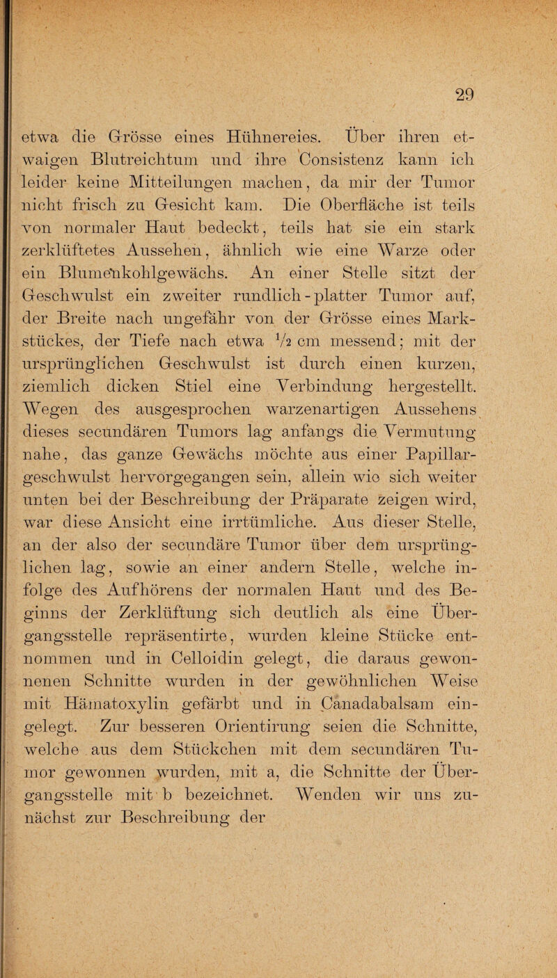 etwa die Grösse eines Hühnereies. Über ihren et¬ waigen Blutreichtum und ihre Consistenz kann ich leider keine Mitteilungen machen, da mir der Tumor nicht frisch zu Gesicht kam. Die Oberfläche ist teils von normaler Haut bedeckt, teils hat sie ein stark zerklüftetes Aussehen, ähnlich wie eine Warze oder ein Blume*nkohlgewächs. An einer Stelle sitzt der Geschwulst ein zweiter rundlich - platter Tumor auf, der Breite nach ungefähr von der Grösse eines Mark¬ stückes, der Tiefe nach etwa V2 cm messend; mit der ursprünglichen Geschwulst ist durch einen kurzen, ziemlich dicken Stiel eine Verbindung hergestellt. Wegen des ausgesprochen warzenartigen Aussehens dieses secündären Tumors lag anfangs die Vermutung nahe, das ganze Gewächs möchte aus einer Papillar- geschwulst hervorgegangen sein, allein wie sich weiter unten bei der Beschreibung der Präparate zeigen wird, war diese Ansicht eine irrtümliche. Aus dieser Stelle, an der also der secundäre Tumor über dem ursprüng¬ lichen lag, sowie an einer andern Stelle, welche in¬ folge des Aufhörens der normalen Haut und des Be¬ ginns der Zerklüftung sich deutlich als eine Über¬ gangsstelle repräsentirte, wurden kleine Stücke ent¬ nommen und in Celloidin gelegt, die daraus gewon¬ nenen Schnitte wurden in der gewöhnlichen Weise mit Hämatoxylin gefärbt und in Canadabalsam ein¬ gelegt. Zur besseren Orientirung seien die Schnitte, welche aus dem Stückchen mit dem secündären Tu¬ mor gewonnen wurden, mit a, die Schnitte der Über¬ gangsstelle mit b bezeichnet. Wenden wir uns zu¬ nächst zur Beschreibung der