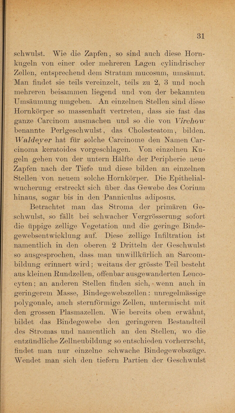 schwulst. Wie die Zapfen, so sind auch diese Horn¬ kugeln von einer oder mehreren Lagen cylindrischer Zellen, entsprechend dein Stratum mucosum, umsäumt. Man findet sie teils vereinzelt, teils zu 2, 3 und noch mehreren beisammen liegend und von der bekannten Umsäumung umgeben. An einzelnen Stellen sind diese Hornkörper so massenhaft vertreten, dass sie fast das ganze Carcinom ausmachen und so die von Virchow benannte Perlgeschwulst, das Cholesteatom, bilden. Waldever hat für solche Carcinome den Hamen Car- e/ cinoma keratoides vorgeschlagen. Von einzelnen Ku¬ geln gehen von der untern Hälfte der Peripherie neue Zapfen nach der Tiefe und diese bilden an einzelnen Stellen von neuem solche Hornkörper. Die Epithelial¬ wucherung erstreckt sich über das Gewebe des Coriurn hinaus, sogar bis in den Panniculus adiposus. Betrachtet man das Stroma der primären Ge¬ schwulst, so fällt bei schwacher Vergrösserung sofort die üppige zellige Vegetation und die geringe Binde- gewebsentwicklung auf. Diese zellige Infiltration ist namentlich in den oberen 2 Dritteln der Geschwulst so ausgesprochen, dass man unwillkürlich an Sarcom- bildung erinnert wird; weitaus der grösste Teil besteht aus kleinen Bundzellen, offenbar ausgewanderten Leuco- cyten: an anderen Stellen finden sich, wenn auch in geringerem Masse, Bindegewebszellen: unregelmässige polygonale, auch sternförmige Zellen, untermischt mit den grossen Plasmazellen. Wie bereits oben erwähnt, bildet das Bindegewebe den geringeren Bestandteil des Stromas und namentlich an den Stellen, wo die entzündliche Zellneubildung so entschieden vorherrscht, findet man nur einzelne schwache Bindegewebsziige. Wendet man sich den tiefem Partien der Geschwulst