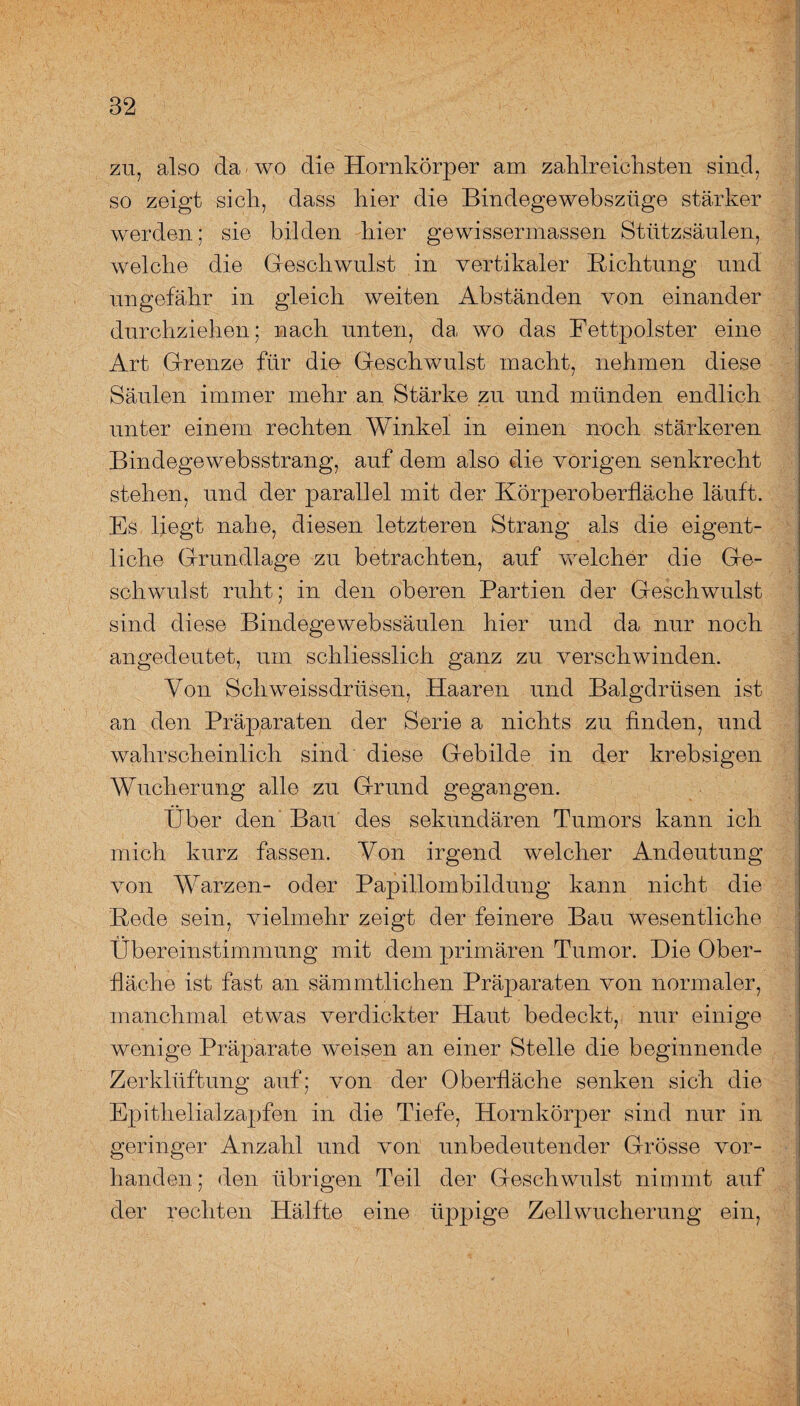 zu, also da wo die Hornkörper am zahlreichsten sind, so zeigt sich, dass hier die Bindegewebszüge stärker werden; sie bilden hier gewissermassen Stützsäulen, welche die Geschwulst in vertikaler Richtung und ungefähr in gleich weiten Abständen von einander durchziehen; nach unten, da wo das Fettpolster eine Art Grenze für die- Geschwulst macht, nehmen diese Säulen immer mehr an Stärke zu und münden endlich unter einem rechten Winkel in einen noch stärkeren Bindegewebsstrang, auf dem also die vorigen senkrecht stehen, und der parallel mit der Körperoberfläche läuft. Es liegt nahe, diesen letzteren Strang als die eigent¬ liche Grundlage zu betrachten, auf welcher die Ge¬ schwulst ruht; in den oberen Partien der Geschwulst sind diese Bindegewebssäulen hier und da nur noch angedeutet, um schliesslich ganz zu verschwinden. Von Schweissdrüsen, Haaren und Balgdrüsen ist an den Präparaten der Serie a nichts zu finden, und wahrscheinlich sind' diese Gebilde in der krebsigen Wucherung alle zu Grund gegangen. Über den Bau des sekundären Tumors kann ich mich kurz fassen. Von irgend welcher Andeutung von Warzen- oder Papillombildung kann nicht die Bede sein, vielmehr zeigt der feinere Bau wesentliche Übereinstimmung mit dem primären Tumor. Die Ober¬ fläche ist fast an sämmtlichen Präparaten von normaler, manchmal etwas verdickter Haut bedeckt, nur einige wenige Präparate weisen an einer Stelle die beginnende Zerklüftung auf; von der Oberfläche senken sich die Epithelialzapfen in die Tiefe, Hornkörper sind nur in geringer Anzahl und von unbedeutender Grösse vor¬ handen; den übrigen Teil der Geschwulst nimmt auf der rechten Hälfte eine üppige Zellwucherung ein,
