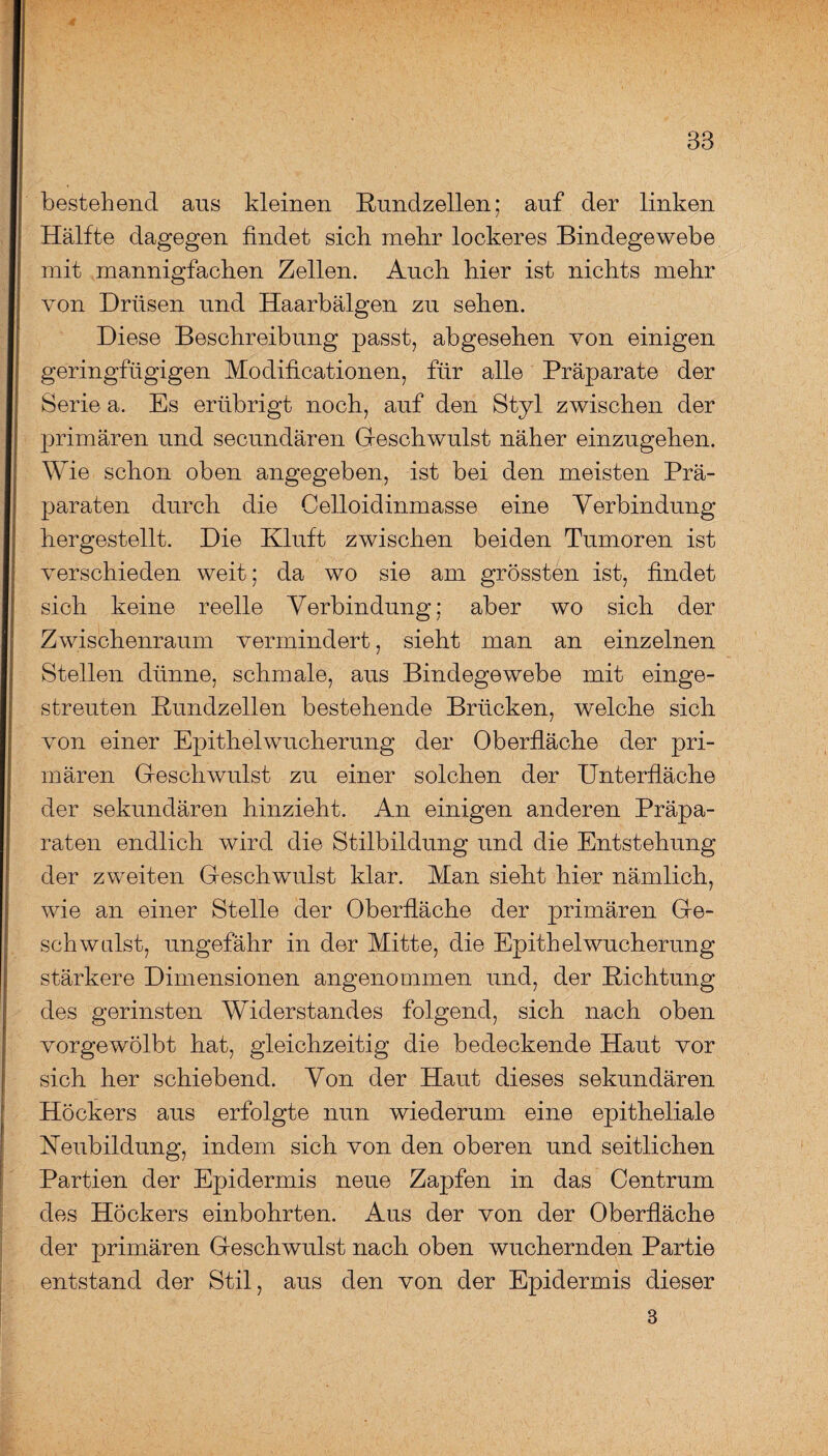 4 33 bestehend aus kleinen Kundzellen; auf der linken Hälfte dagegen findet sich mehr lockeres Bindegewebe mit mannigfachen Zellen. Auch hier ist nichts mehr von Drüsen und Haarbälgen zu sehen. Diese Beschreibung passt, abgesehen von einigen geringfügigen Modificationen, für alle Präparate der Serie a. Es erübrigt noch, auf den Styl zwischen der primären und secundären Geschwulst näher einzugehen. Wie schon oben angegeben, ist bei den meisten Prä¬ paraten durch die Celloidinmasse eine Verbindung hergestellt. Die Kluft zwischen beiden Tumoren ist verschieden weit; da wo sie am grössten ist, findet sich keine reelle Verbindung; aber wo sich der Zwischenraum vermindert, sieht man an einzelnen Stellen dünne, schmale, aus Bindegewebe mit einge¬ streuten Kundzellen bestehende Brücken, welche sich von einer Epithelwucherung der Oberfläche der pri¬ mären Geschwulst zu einer solchen der Unterfläche der sekundären hinzieht. An einigen anderen Präpa¬ raten endlich wird die Stilbildung und die Entstehung der zweiten Geschwulst klar. Man sieht hier nämlich, wie an einer Stelle der Oberfläche der primären Ge¬ schwulst, ungefähr in der Mitte, die Epithel Wucherung stärkere Dimensionen angenommen und, der Dichtung des gerinsten Widerstandes folgend, sich nach oben vorgewölbt hat, gleichzeitig die bedeckende Haut vor sich her schiebend. Von der Haut dieses sekundären Höckers aus erfolgte nun wiederum eine epitheliale Neubildung, indem sich von den oberen und seitlichen Partien der Epidermis neue Zapfen in das Centrum des Höckers einbohrten. Aus der von der Oberfläche der primären Geschwulst nach oben wuchernden Partie entstand der Stil, aus den von der Epidermis dieser 3