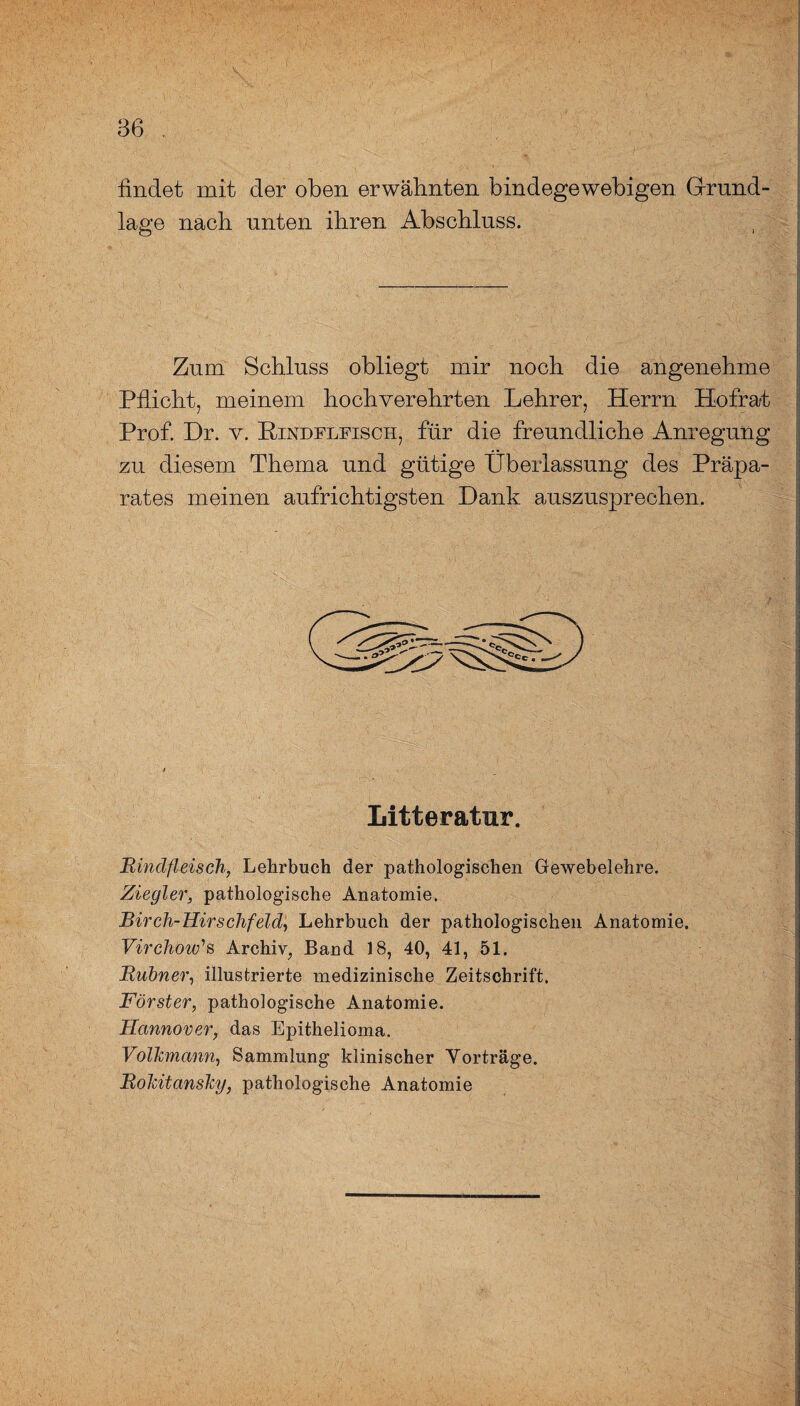 findet mit der oben erwähnten bindegewebigen Grund¬ lage nach unten ihren Abschluss. Zum Schluss obliegt mir noch die angenehme Pflicht, meinem hochverehrten Lehrer, Herrn Hofrat Prof. Dr. v. Pindflfisch, für die freundliche Anregung zu diesem Thema und gütige Überlassung des Präpa¬ rates meinen aufrichtigsten Dank auszusprechen. Litteratur. Rindfleisch, Lehrbuch der pathologischen Gewebelehre. Ziegler, pathologische Anatomie. Rirch-Hirschfeld, Lehrbuch der pathologischen Anatomie. Virchow'1 s Archiv, Band 18, 40, 41, 51. Rubner, illustrierte medizinische Zeitschrift. Förster, pathologische Anatomie. Hannover, das Epithelioma. Volkmann, Sammlung klinischer Yorträge. Rokitansky, pathologische Anatomie