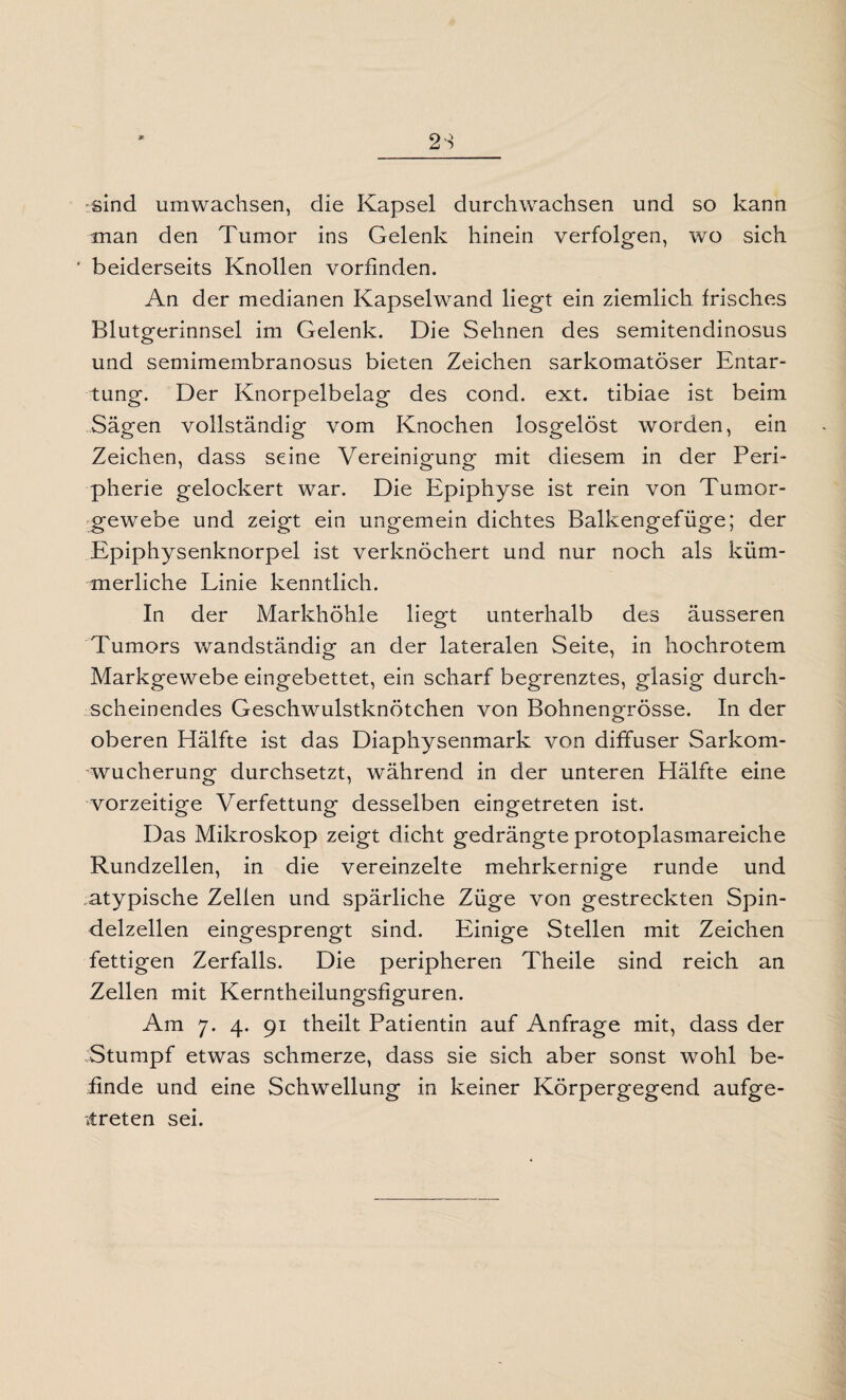 * sind umwachsen, die Kapsel durchwachsen und so kann man den Tumor ins Gelenk hinein verfolgen, wo sich ' beiderseits Knollen vorfinden. An der medianen Kapselwand liegt ein ziemlich frisches Blutgerinnsel im Gelenk. Die Sehnen des semitendinosus und semimembranosus bieten Zeichen sarkomatöser Entar¬ tung. Der Knorpelbelag des cond. ext. tibiae ist beim Sägen vollständig vom Knochen losgelöst worden, ein Zeichen, dass seine Vereinigung mit diesem in der Peri¬ pherie gelockert war. Die Epiphyse ist rein von Tumor¬ gewebe und zeigt ein ungemein dichtes Balkengefüge; der Epiphysenknorpel ist verknöchert und nur noch als küm¬ merliche Linie kenntlich. In der Markhöhle liegt unterhalb des äusseren Tumors wandständig an der lateralen Seite, in hochrotem Markgewebe eingebettet, ein scharf begrenztes, glasig durch¬ scheinendes Geschwulstknötchen von Bohnengrösse. In der oberen Hälfte ist das Diaphysenmark von diffuser Sarkom- -wucherung durchsetzt, während in der unteren Hälfte eine vorzeitige Verfettung desselben eingetreten ist. Das Mikroskop zeigt dicht gedrängte protoplasmareiche Rundzellen, in die vereinzelte mehrkernige runde und ^atypische Zellen und spärliche Züge von gestreckten Spin¬ delzellen eingesprengt sind. Einige Stellen mit Zeichen fettigen Zerfalls. Die peripheren Theile sind reich an Zellen mit Kerntheilungsfiguren. Am 7. 4. 91 theilt Patientin auf Anfrage mit, dass der Stumpf etwas schmerze, dass sie sich aber sonst wohl be¬ finde und eine Schwellung in keiner Körpergegend aufge- itreten sei.