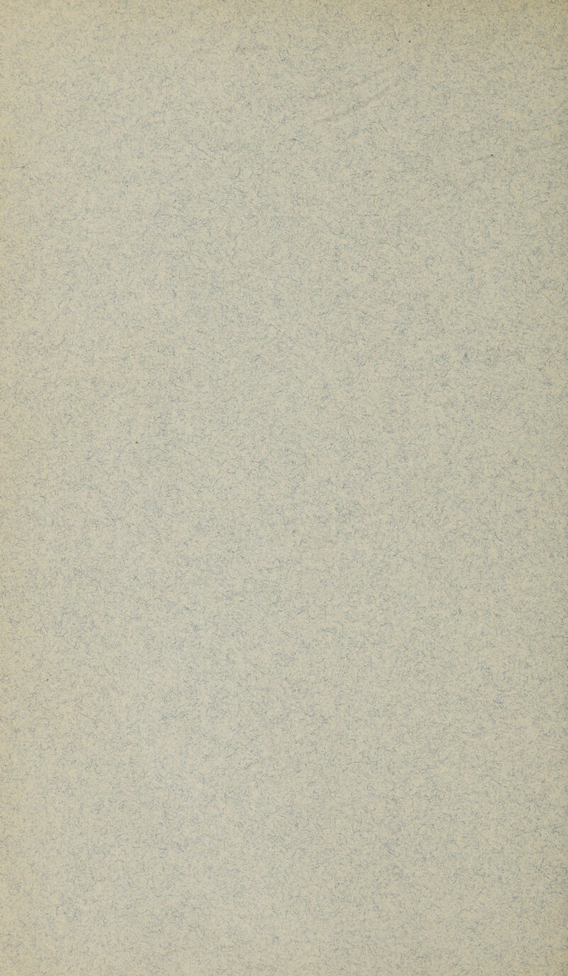 . • • v .V/' ’  >• v c-'■ r~v v ' .:vyy * , . . ■■ :'v; <y wc .. --y- -••• - 7* '•■ . . . . x ■ . \. ■ ■■. - - ' v •••/ 4 V. : -■ • ;S v • • ■ ' . - : Y y • ** ,. • Y-- »oiii j - * . ' Y'*’.- • Y -v.» ■w , .1 \ ,V v ■ YYYY ’Y • „L ( c A-,r *k * ;f.-  - ■ x ■  '-.V ,5jri- r ' '. .. ’ Vxu . v ; * . .* . • • > v-*i ‘ ' V/... ’ h Jiks £ '<&1£ .< Y : 'Y Y; Y - Y Y-Y-; ' Y-: >!Y. Y‘ ■ ■ B>‘  ’ ■ -- V, ■ - . '•• • V> -Y. f ,,' ' r V . - ■ V i X l ■ ' ■: • . ' t - ■ ■ : . 5 ' ^ . ' , ,  ... & . ?Ati- . ■ . , • ■ / - 'Y'., r y.tY- -Y- Y • -• • • • ■ ' .• ■■ ' ■ ■■ , v>v. ... Y x- - Y