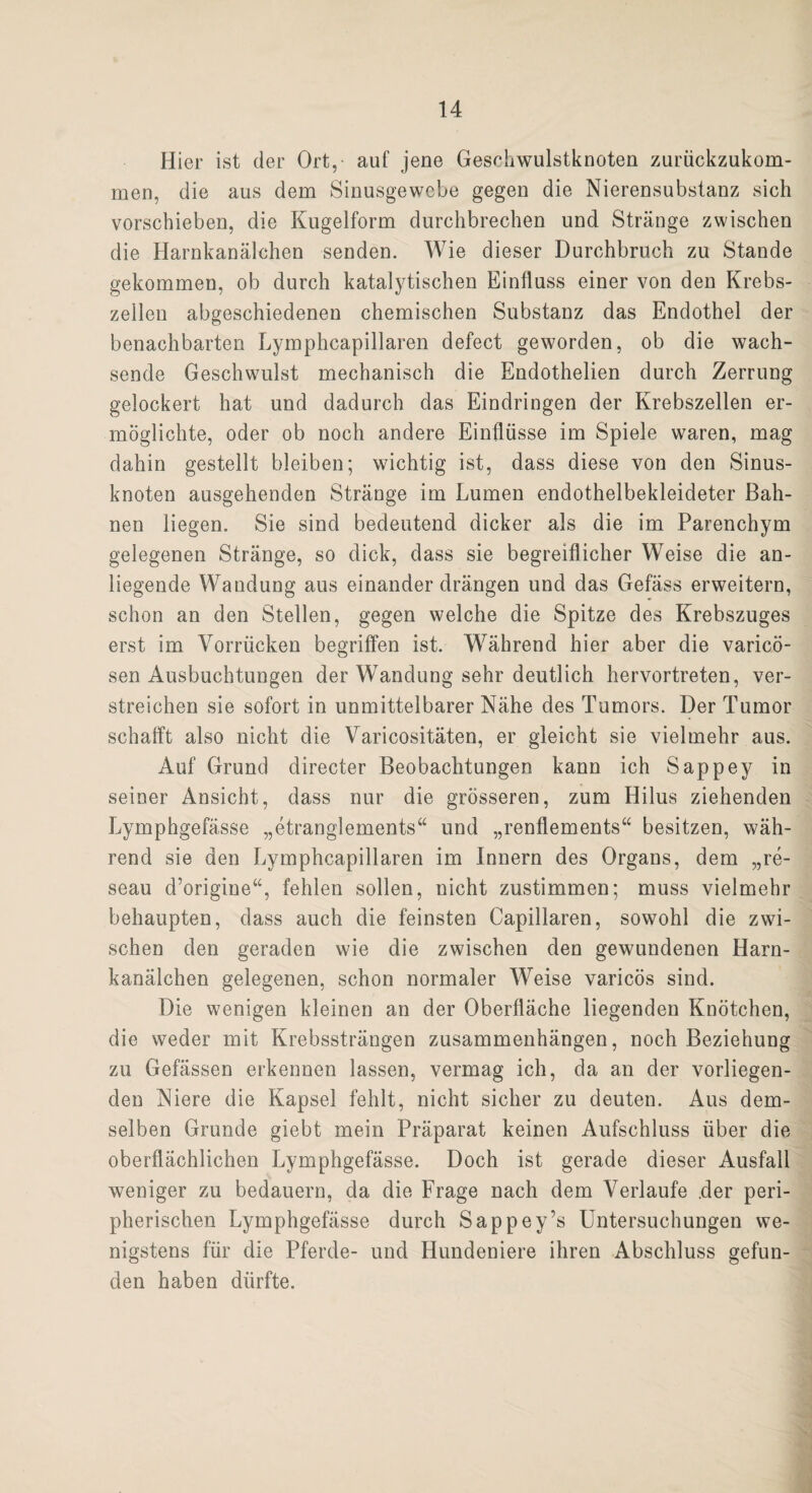Hier ist der Ort, auf jene Geschwulstknoten zurückzukom¬ men, die aus dem Sinusgewebe gegen die Nierensubstanz sich vorschieben, die Kugelform durchbrechen und Stränge zwischen die Harnkanälchen senden. Wie dieser Durchbruch zu Stande gekommen, ob durch katalytischen Einfluss einer von den Krebs¬ zellen abgeschiedenen chemischen Substanz das Endothel der benachbarten Lymphcapillaren defect geworden, ob die wach¬ sende Geschwulst mechanisch die Endothelien durch Zerrung gelockert hat und dadurch das Eindringen der Krebszellen er¬ möglichte, oder ob noch andere Einflüsse im Spiele waren, mag dahin gestellt bleiben; wichtig ist, dass diese von den Sinus¬ knoten ausgehenden Stränge im Lumen endothelbekleideter Bah¬ nen liegen. Sie sind bedeutend dicker als die im Parenchym gelegenen Stränge, so dick, dass sie begreiflicher Weise die an¬ liegende Wandung aus einander drängen und das Gefäss erweitern, schon an den Stellen, gegen welche die Spitze des Krebszuges erst im Vorrücken begriffen ist. Während hier aber die varicö- sen Ausbuchtungen der Wandung sehr deutlich hervortreten, ver¬ streichen sie sofort in unmittelbarer Nähe des Tumors. Der Tumor schafft also nicht die Varicositäten, er gleicht sie vielmehr aus. Auf Grund directer Beobachtungen kann ich Sappey in seiner Ansicht, dass nur die grösseren, zum Hilus ziehenden Lymphgefässe „etranglements“ und „renflements“ besitzen, wäh¬ rend sie den Lymphcapillaren im Innern des Organs, dem „re- seau d’origine“, fehlen sollen, nicht zustimmen; muss vielmehr behaupten, dass auch die feinsten Capillaren, sowohl die zwi¬ schen den geraden wie die zwischen den gewundenen Harn¬ kanälchen gelegenen, schon normaler Weise varicös sind. Die wenigen kleinen an der Oberfläche liegenden Knötchen, die weder mit Krebssträngen Zusammenhängen, noch Beziehung zu Gefässen erkennen lassen, vermag ich, da an der vorliegen¬ den Niere die Kapsel fehlt, nicht sicher zu deuten. Aus dem¬ selben Grunde giebt mein Präparat keinen Aufschluss über die oberflächlichen Lymphgefässe. Doch ist gerade dieser Ausfall weniger zu bedauern, da die Frage nach dem Verlaufe .der peri¬ pherischen Lymphgefässe durch Sappey’s Untersuchungen we¬ nigstens für die Pferde- und Hundeniere ihren Abschluss gefun¬ den haben dürfte.