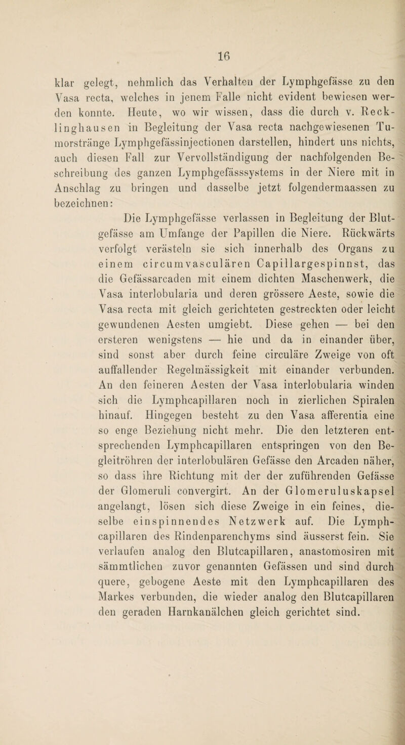 klar gelegt, nehmlich das Verhalten der Lymphgefässe zu den Vasa recta, welches in jenem Falle nicht evident bewiesen wer¬ den konnte. Heute, wo wir wissen, dass die durch v. Reck¬ linghausen in Begleitung der Vasa recta nachgewiesenen Tu¬ morstränge Lymphgefassinjectionen darstellen, hindert uns nichts, auch diesen Fall zur Vervollständigung der nachfolgenden Be¬ schreibung des ganzen Lymphgefässsystems in der Niere mit in Anschlag zu bringen und dasselbe jetzt folgendermaassen zu bezeichnen: Die Lymphgefässe verlassen in Begleitung der Blut¬ gefässe am Umfange der Papillen die Niere. Rückwärts verfolgt verästeln sie sich innerhalb des Organs zu einem circumvasculären Capillargespinnst, das die Gefässarcaden mit einem dichten Maschenwerk, die Vasa interlobularia und deren grössere Aeste, sowie die Vasa recta mit gleich gerichteten gestreckten oder leicht gewundenen Aesten umgiebt. Diese gehen — bei den ersteren wenigstens — hie und da in einander über, sind sonst aber durch feine circuläre Zweige von oft auffallender Regelmässigkeit mit einander verbunden. An den feineren Aesten der Vasa interlobularia winden sich die Lymphcapillaren noch in zierlichen Spiralen hinauf. Hingegen besteht zu den Vasa afferentia eine so enge Beziehung nicht mehr. Die den letzteren ent¬ sprechenden Lymphcapillaren entspringen von den Be¬ gleitröhren der interlobulären Gefässe den Arcaden näher, so dass ihre Richtung mit der der zuführenden Gefässe der Glomeruli convergirt. An der Glomeruluskapsel angelangt, lösen sich diese Zweige in ein feines, die¬ selbe einspinnendes Netzwerk auf. Die Lymph¬ capillaren des Rindenparenchyms sind äusserst fein. Sie verlaufen analog den Blutcapillaren, anastomosiren mit sämmtlichen zuvor genannten Gefässen und sind durch quere, gebogene Aeste mit den Lymphcapillaren des Markes verbunden, die wieder analog den Blutcapillaren den geraden Harnkanälchen gleich gerichtet sind.