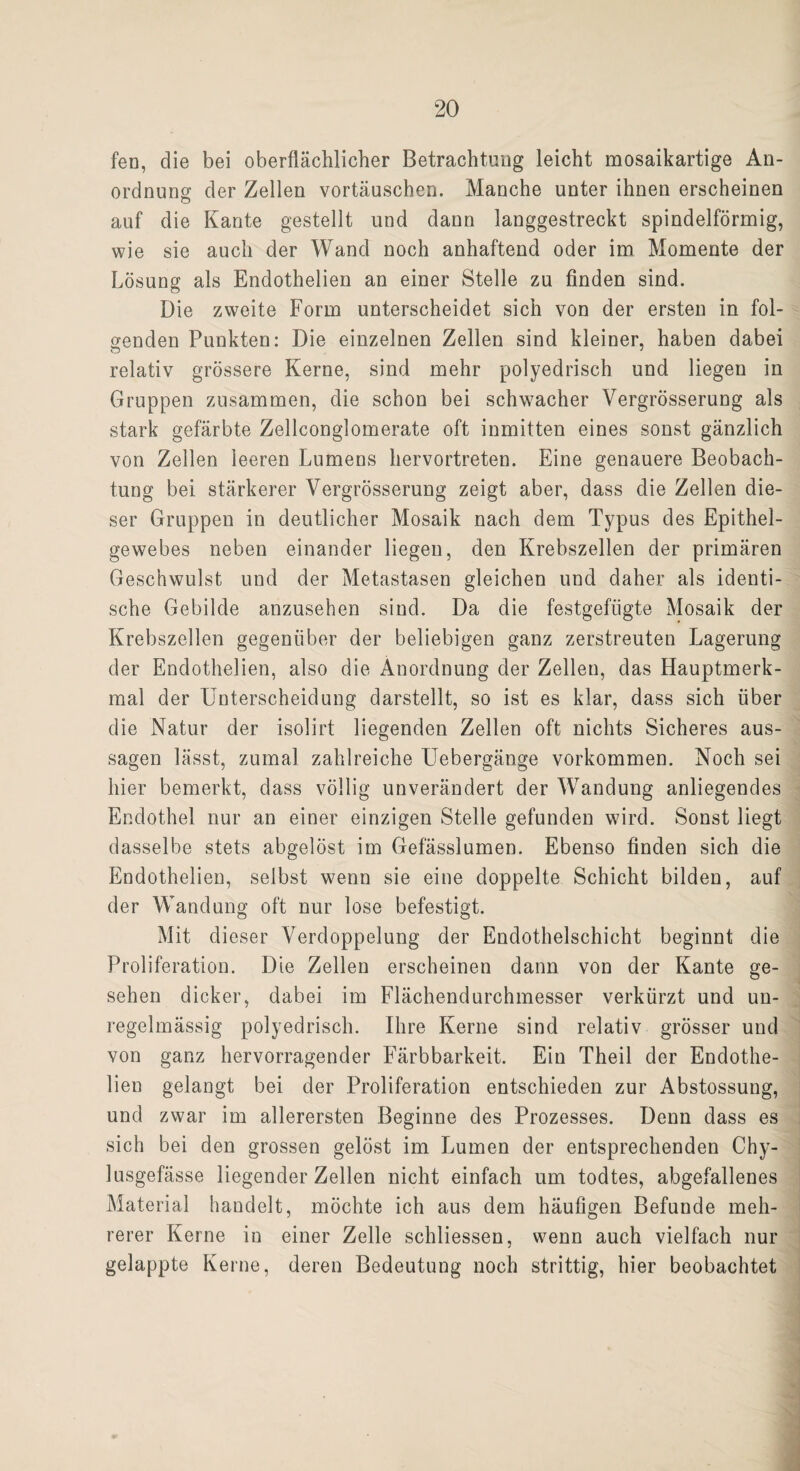 fen, die bei oberflächlicher Betrachtung leicht mosaikartige An¬ ordnung der Zellen Vortäuschen. Manche unter ihnen erscheinen auf die Kante gestellt und dann langgestreckt spindelförmig, wie sie auch der Wand noch anhaftend oder im Momente der Lösung als Endothelien an einer Stelle zu finden sind. Die zweite Form unterscheidet sich von der ersten in fol¬ genden Punkten: Die einzelnen Zellen sind kleiner, haben dabei relativ grössere Kerne, sind mehr polyedrisch und liegen in Gruppen zusammen, die schon bei schwacher Vergrösserung als stark gefärbte Zellconglomerate oft inmitten eines sonst gänzlich von Zellen leeren Lumens hervortreten. Eine genauere Beobach¬ tung bei stärkerer Vergrösserung zeigt aber, dass die Zellen die¬ ser Gruppen in deutlicher Mosaik nach dem Typus des Epithel¬ gewebes neben einander liegen, den Krebszellen der primären Geschwulst und der Metastasen gleichen und daher als identi¬ sche Gebilde anzusehen sind. Da die festgefügte Mosaik der Krebszellen gegenüber der beliebigen ganz zerstreuten Lagerung der Endothelien, also die Anordnung der Zellen, das Hauptmerk¬ mal der Unterscheidung darstellt, so ist es klar, dass sich über die Natur der isolirt liegenden Zellen oft nichts Sicheres aus- sagen lässt, zumal zahlreiche LTebergänge Vorkommen. Noch sei hier bemerkt, dass völlig unverändert der Wandung anliegendes Endothel nur an einer einzigen Stelle gefunden wird. Sonst liegt dasselbe stets abgelöst im Gefässlumen. Ebenso finden sich die Endothelien, selbst wenn sie eine doppelte Schicht bilden, auf der Wandung oft nur lose befestigt. Mit dieser Verdoppelung der Endothelschicht beginnt die Proliferation. Die Zellen erscheinen dann von der Kante ge¬ sehen dicker, dabei im Flächendurchmesser verkürzt und un¬ regelmässig polyedrisch. Ihre Kerne sind relativ grösser und von ganz hervorragender Färbbarkeit. Ein Theil der Endothe¬ lien gelangt bei der Proliferation entschieden zur Abstossung, und zwar im allerersten Beginne des Prozesses. Denn dass es sich bei den grossen gelöst im Lumen der entsprechenden Chy- lusgefässe liegender Zellen nicht einfach um todtes, abgefallenes Material handelt, möchte ich aus dem häufigen Befuude meh¬ rerer Kerne in einer Zelle schliessen, wenn auch vielfach nur gelappte Kerne, deren Bedeutung noch strittig, hier beobachtet
