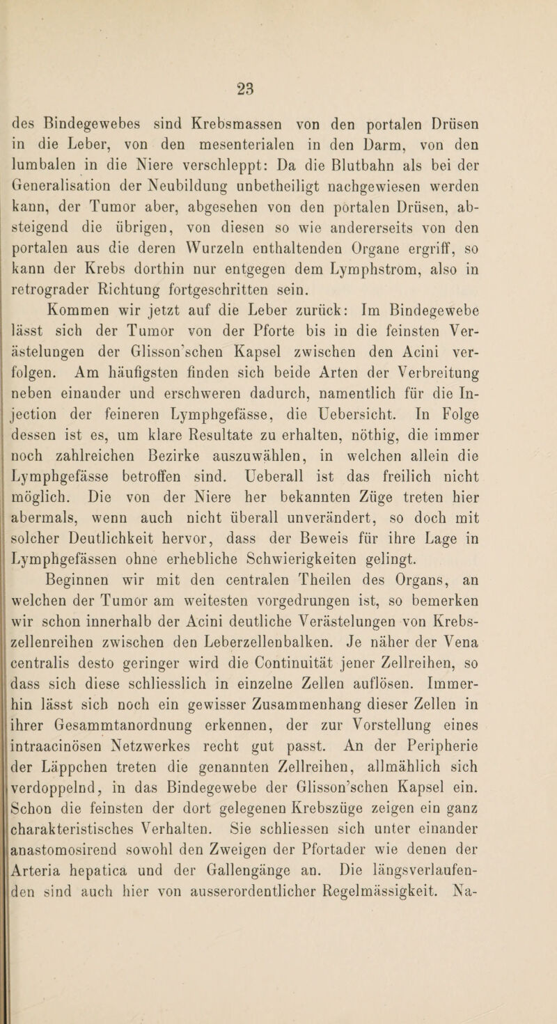des Bindegewebes sind Krebsmassen von den portalen Drüsen in die Leber, von den mesenterialen in den Darm, von den lumbalen in die Niere verschleppt: Da die Blutbahn als bei der Generalisation der Neubildung unbetheiligt nachgewiesen werden kann, der Tumor aber, abgesehen von den portalen Drüsen, ab¬ steigend die übrigen, von diesen so wie andererseits von den portalen aus die deren Wurzeln enthaltenden Organe ergriff, so kann der Krebs dorthin nur entgegen dem Lymphstrom, also in retrograder Richtung fortgeschritten sein. Kommen wir jetzt auf die Leber zurück: Im Bindegewebe lässt sich der Tumor von der Pforte bis in die feinsten Ver¬ ästelungen der Glisson'schen Kapsel zwischen den Acini ver¬ folgen. Am häufigsten finden sich beide Arten der Verbreitung neben einauder und erschweren dadurch, namentlich für die In- jection der feineren Lymphgefässe, die Uebersicht. In Folge dessen ist es, um klare Resultate zu erhalten, nöthig, die immer noch zahlreichen Bezirke auszuwählen, in welchen allein die Lymphgefässe betroffen sind. Ueberall ist das freilich nicht möglich. Die von der Niere her bekannten Züge treten hier abermals, wenn auch nicht überall unverändert, so doch mit solcher Deutlichkeit hervor, dass der Beweis für ihre Lage in Lymphgefässen ohne erhebliche Schwierigkeiten gelingt. Beginnen wir mit den centralen Theilen des Organs, an welchen der Tumor am weitesten vorgedrungen ist, so bemerken wir schon innerhalb der Acini deutliche Verästelungen von Krebs¬ zellenreihen zwischen den Leberzellenbalken. Je näher der Vena centralis desto geringer wird die Continuität jener Zellreihen, so dass sich diese schliesslich in einzelne Zellen auflösen. Immer¬ hin lässt sich noch ein gewisser Zusammenhang dieser Zellen in ihrer Gesammtanordnung erkennen, der zur Vorstellung eines intraacinösen Netzwerkes recht gut passt. An der Peripherie der Läppchen treten die genannten Zellreihen, allmählich sich verdoppelnd, in das Bindegewebe der Glisson'schen Kapsel ein. Schon die feinsten der dort gelegenen Krebszüge zeigen ein ganz charakteristisches Verhalten. Sie schliessen sich unter einander anastomosirend sowohl den Zweigen der Pfortader wie denen der Arteria hepatica und der Gallengänge an. Die längsverlaufen¬ den sind auch hier von ausserordentlicher Regelmässigkeit. Na-