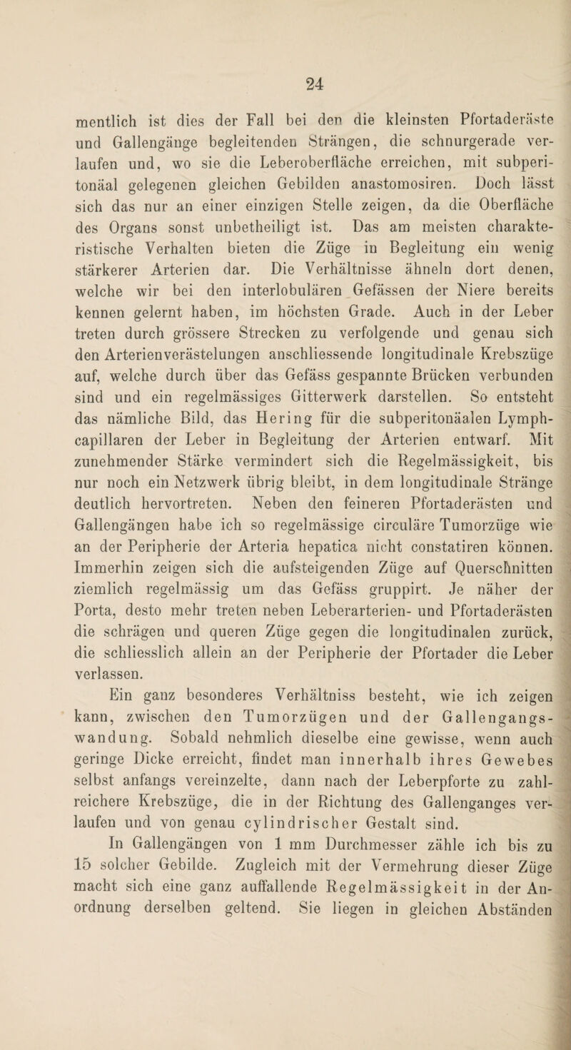 mentlich ist dies der Fall bei der* die kleinsten Pfortaderäste und Gallengänge begleitenden Strängen, die schnurgerade ver¬ laufen und, wo sie die Leberoberfläche erreichen, mit subperi- tonäal gelegenen gleichen Gebilden anastomosiren. Doch lässt sich das nur an einer einzigen Stelle zeigen, da die Oberfläche des Organs sonst unbetheiligt ist. Das am meisten charakte¬ ristische Verhalten bieten die Züge in Begleitung ein wenig stärkerer Arterien dar. Die Verhältnisse ähneln dort denen, welche wir bei den interlobulären Gefässen der Niere bereits kennen gelernt haben, im höchsten Grade. Auch in der Leber treten durch grössere Strecken zu verfolgende und genau sich den Arterienverästelungen anschliessende longitudinale Krebszüge auf, welche durch über das Gefäss gespannte Brücken verbunden sind und ein regelmässiges Gitterwerk darstellen. So entsteht das nämliche Bild, das Hering für die subperitonäalen Lymph- capillaren der Leber in Begleitung der Arterien entwarf. Mit zunehmender Stärke vermindert sich die Regelmässigkeit, bis nur noch ein Netzwerk übrig bleibt, in dem longitudinale Stränge deutlich hervortreten. Neben den feineren Pfortaderästen und Gallengängen habe ich so regelmässige circuläre Tumorzüge wie an der Peripherie der Arteria hepatica nicht constatiren können. Immerhin zeigen sich die aufsteigenden Züge auf Querschnitten ziemlich regelmässig um das Gefäss gruppirt. Je näher der Porta, desto mehr treten neben Leberarterien- und Pfortaderästen die schrägen und queren Züge gegen die longitudinalen zurück, die schliesslich allein an der Peripherie der Pfortader die Leber verlassen. Ein ganz besonderes Verhältnis besteht, wie ich zeigen kann, zwischen den Tumorzügen und der Gallengangs¬ wandung. Sobald nehmlich dieselbe eine gewisse, wenn auch geringe Dicke erreicht, findet man innerhalb ihres Gewebes selbst anfangs vereinzelte, dann nach der Leberpforte zu zahl¬ reichere Krebszüge, die in der Richtung des Gallenganges ver¬ laufen und von genau cylindrischer Gestalt sind. In Gallengängen von 1 mm Durchmesser zähle ich bis zu 15 solcher Gebilde. Zugleich mit der Vermehrung dieser Ziige macht sich eine ganz auffallende Regelmässigkeit in der An¬ ordnung derselben geltend. Sie liegen in gleichen Abständen
