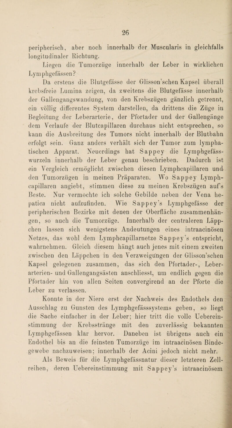 peripherisch, aber noch innerhalb der Muscularis in gleichfalls longitudinaler Richtung. Liegen die Tumorzüge innerhalb der Leber in wirklichen Lymphgefässen? Da erstens die Blutgefässe der Glissonschen Kapsel überall krebsfreie Lumina zeigen, da zweitens die Blutgefässe innerhalb der Gallengangswandung, von den Krebszügen gänzlich getrennt, ein völlig differentes System darstellen, da drittens die Züge in Begleitung der Leberarterie, der Pfortader und der Gallengänge dem Verlaufe der Blutcapillaren durchaus nicht entsprechen, so kann die Ausbreitung des Tumors nicht innerhalb der Blutbahn erfolgt sein. Ganz anders verhält sich der Tumor zum lympha¬ tischen Apparat. Neuerdings hat Sappey die Lymphgefäss- wurzeln innerhalb der Leber genau beschrieben. Dadurch ist ein Vergleich ermöglicht zwischen diesen Lymphcapiilaren und den Tumorzügen in meinen Präparaten. Wo Sappey Lymph¬ capiilaren angiebt, stimmen diese zu meinen Krebszügen aufs Beste. Nur vermochte ich solche Gebilde neben der Vena he- patica nicht aufzufinden. Wie Sappey’s Lymphgefässe der peripherischen Bezirke mit denen der Oberfläche Zusammenhän¬ gen, so auch die Tumorzüge. Innerhalb der centraleren Läpp¬ chen lassen sich wenigstens Andeutungen eines intraacinösen Netzes, das wohl dem Lymphcapillarnetze Sappey’s entspricht, wahrnehmen. Gleich diesem hängt auch jenes mit einem zweiten zwischen den Läppchen in den Verzweigungen der Glisson’schen Kapsel gelegenen zusammen, das sich den Pfortader-, Leber¬ arterien- und Gallengangsästen anschliesst, um endlich gegen die Pfortader hin von allen Seiten convergirend an der Pforte die Leber zu verlassen. Konnte in der Niere erst der Nachweis des Endothels den Ausschlag zu Gunsten des Lymphgefässsystems geben, so liegt die Sache einfacher in der Leber; hier tritt die volle Ueberein- stimmung der Krebsstränge mit den zuverlässig bekannten Lymphgefässen klar hervor. Daneben ist übrigens auch ein Endothel bis an die feinsten Tumorzüge im intraacinösen Binde¬ gewebe nachzuweisen; innerhalb der Acini jedoch nicht mehr. Als Beweis für die Lymphgefässnatur dieser letzteren Zell¬ reihen, deren Uebereinstimmung mit Sappey’s intraacinösem __ . ___ „ , , _« .,.v