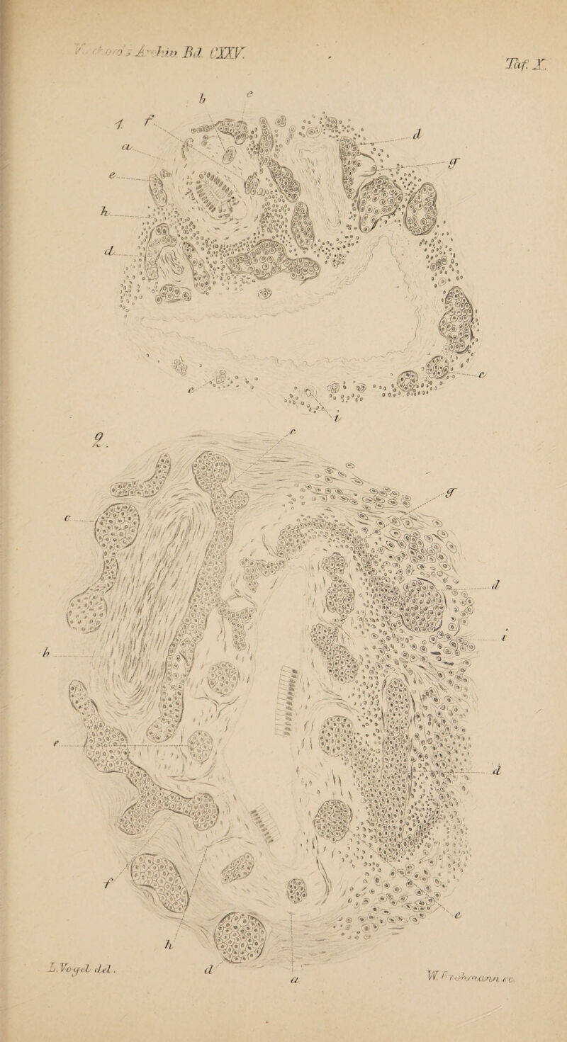 >'sJ hw.Bd.CJXV Taf. ' % jmmw d l W ^yjßuoxvrtj’i fü