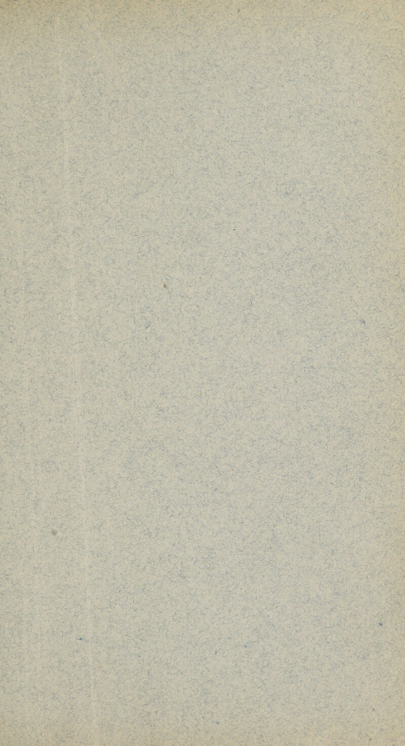 :JS : ■ ■< . • ■ ■ : ,■'■ :• ^ ■ : .,  > > < J-1, ^ \rVy -HySt ;r^w - \. ■, sv •i > ■ ; ,-v ■ *• * .• -'T - V • V- • ** ';■&/’ <>*. ■'* £ v*, •••' • :• »• -:« r-.. : • j sCr • * • ' : ■ . ‘-te j. , .v>.; tv;< ^*7 ■-■''V ... . • _• - ..- -~X. . ■ -'s u .7 V V.7- ' ■ ■. -V' .. X > %ü * *v ■ 1 ! \ '• *\S ’ . . •* . . . • / , S - - t ■ ' •' -7-7 ... ' ' ' 7 • 7 W  . - . -. - ■ ■: Hk ''r • . t ■ • . ■■■ >■ ■ *’ . 7 - , • . , ■ ■: /• ' ; ■ ■ . v ; , V „■ .. - . , • ■ ... • .' \ • v 'V . •. £ • V-- .. • • / • , v- • >