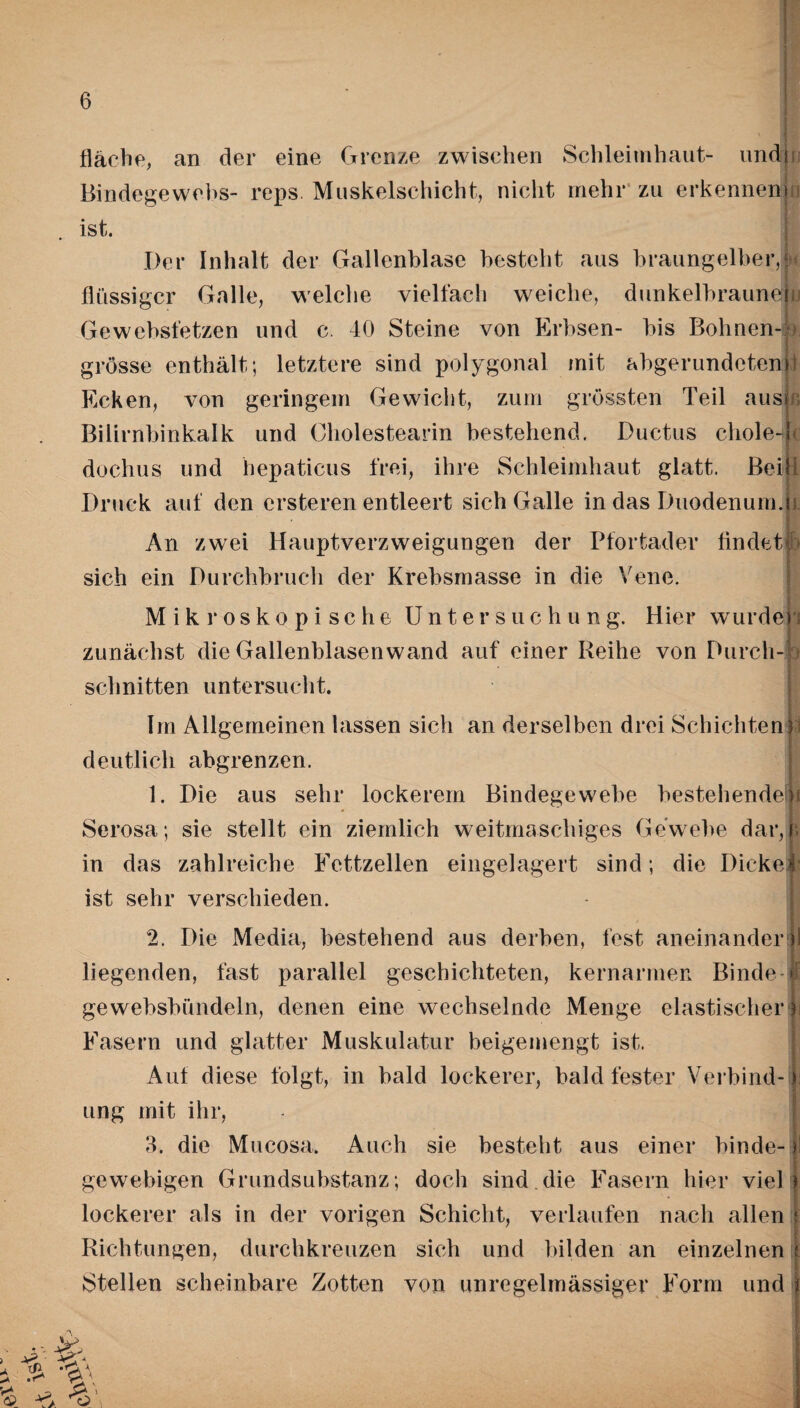 fläche, an der eine Grenze zwischen Schleimhaut- undn Bindegewebs- reps Muskelschicht, nicht mehr zu erkennenj ist. Der Inhalt der Gallenblase besteht aus braungelber, i flüssiger Galle, welche vielfach weiche, dunkelbraune! Gewebsfetzen und c. 40 Steine von Erbsen- bis Bohnen-: grosse enthält; letztere sind polygonal mit abgerundeten]) Ecken, von geringem Gewicht, zum grössten Teil aus r, Bilirnbinkalk und Oholestearin bestehend. Ductus chole-j* : doclius und hepaticus frei, ihre Schleimhaut glatt. Bern Druck auf den ersteren entleert sich Galle in das Duodenum.u An zwei Hauptverzweigungen der Pfortader findet’!} sich ein Durchbruch der Krebsmasse in die Vene. Mikroskopische Untersuchung. Hier wurde zunächst die Gallenblasenwand auf einer Reihe von Durch¬ schnitten untersucht. P Im Allgemeinen lassen sich an derselben drei Schichten deutlich abgrenzen. 1. Die aus sehr lockerem Bindegewebe bestehenden Serosa; sie stellt ein ziemlich weitmaschiges Gewebe dar, in das zahlreiche Fettzellen eingelagert sind; die Dickel ist sehr verschieden. 2. Die Media, bestehend aus derben, fest aneinander )! liegenden, fast parallel geschichteten, kernarmen Binde-tf: gewebsbündeln, denen eine wechselnde Menge elastischer Fasern und glatter Muskulatur beigemengt ist. Aut diese folgt, in bald lockerer, bald fester Verbind¬ ung mit ihr, 3. die Mucosa. Auch sie besteht aus einer binde- ! gewebigen Grundsubstanz; doch sind die Fasern hier viel lockerer als in der vorigen Schicht, verlaufen nach allen s Richtungen, durchkreuzen sich und bilden an einzelnen f Stellen scheinbare Zotten von unregelmässiger Form und i